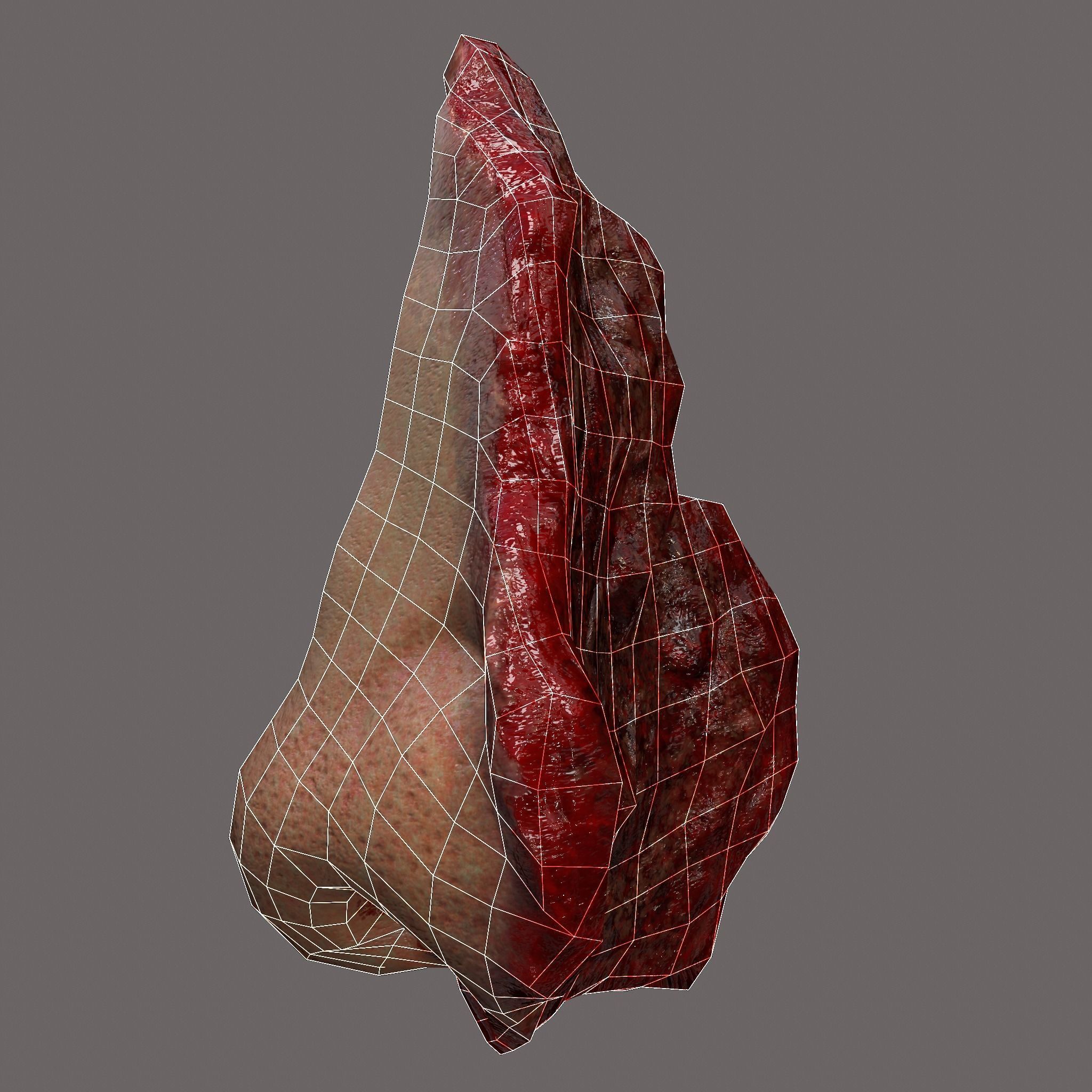 Severed Nose and Toes 3D Model Collection_101