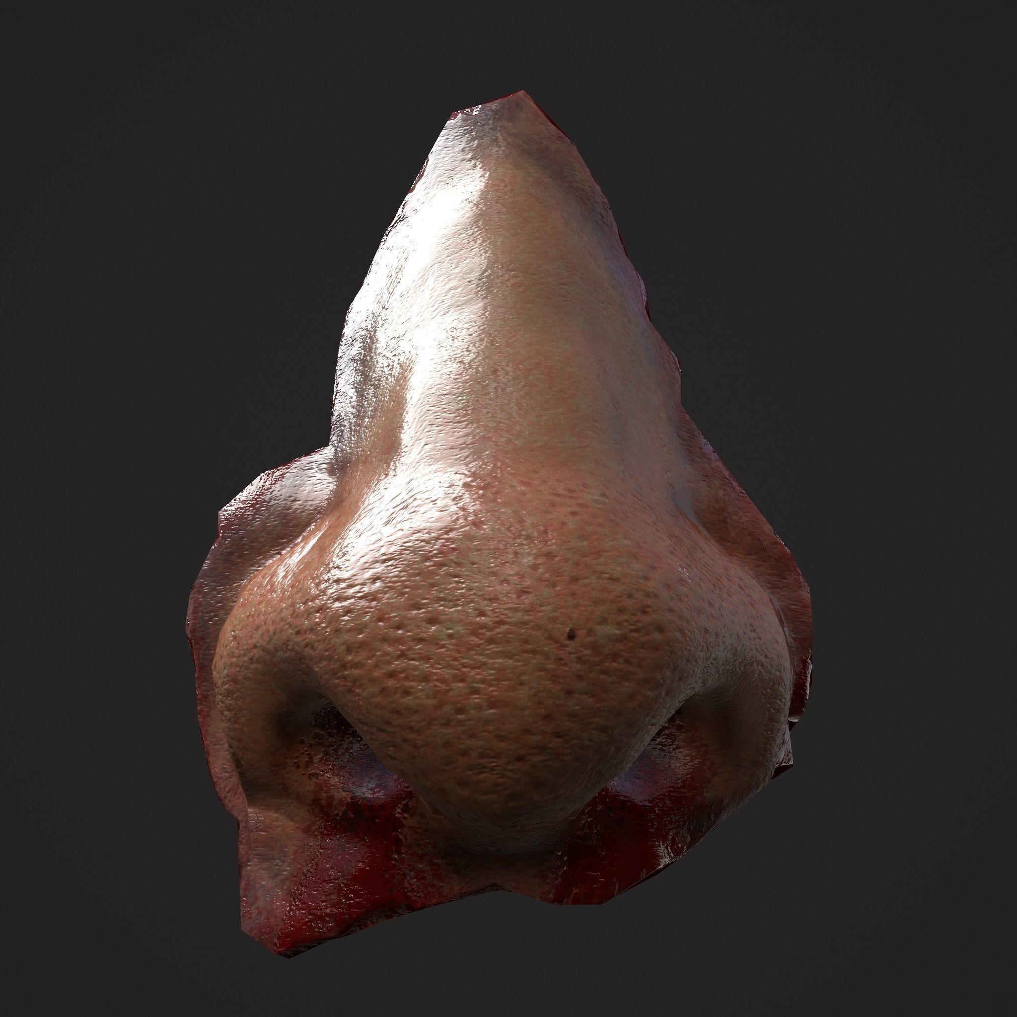 Severed Nose and Toes 3D Model Collection_81