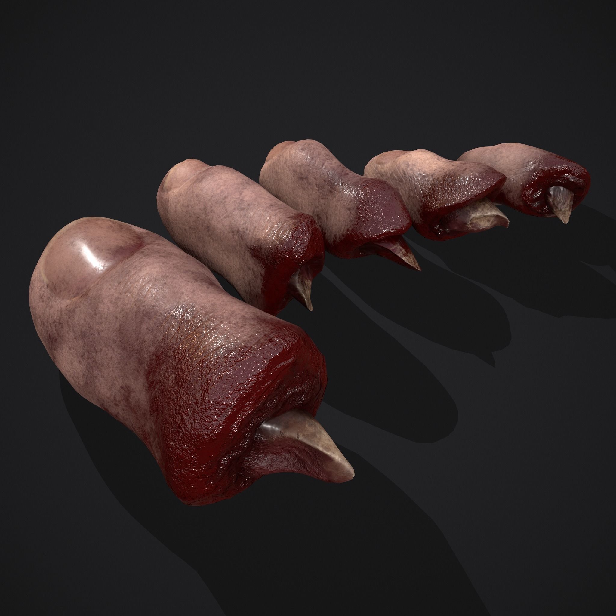 Severed Nose and Toes 3D Model Collection_40
