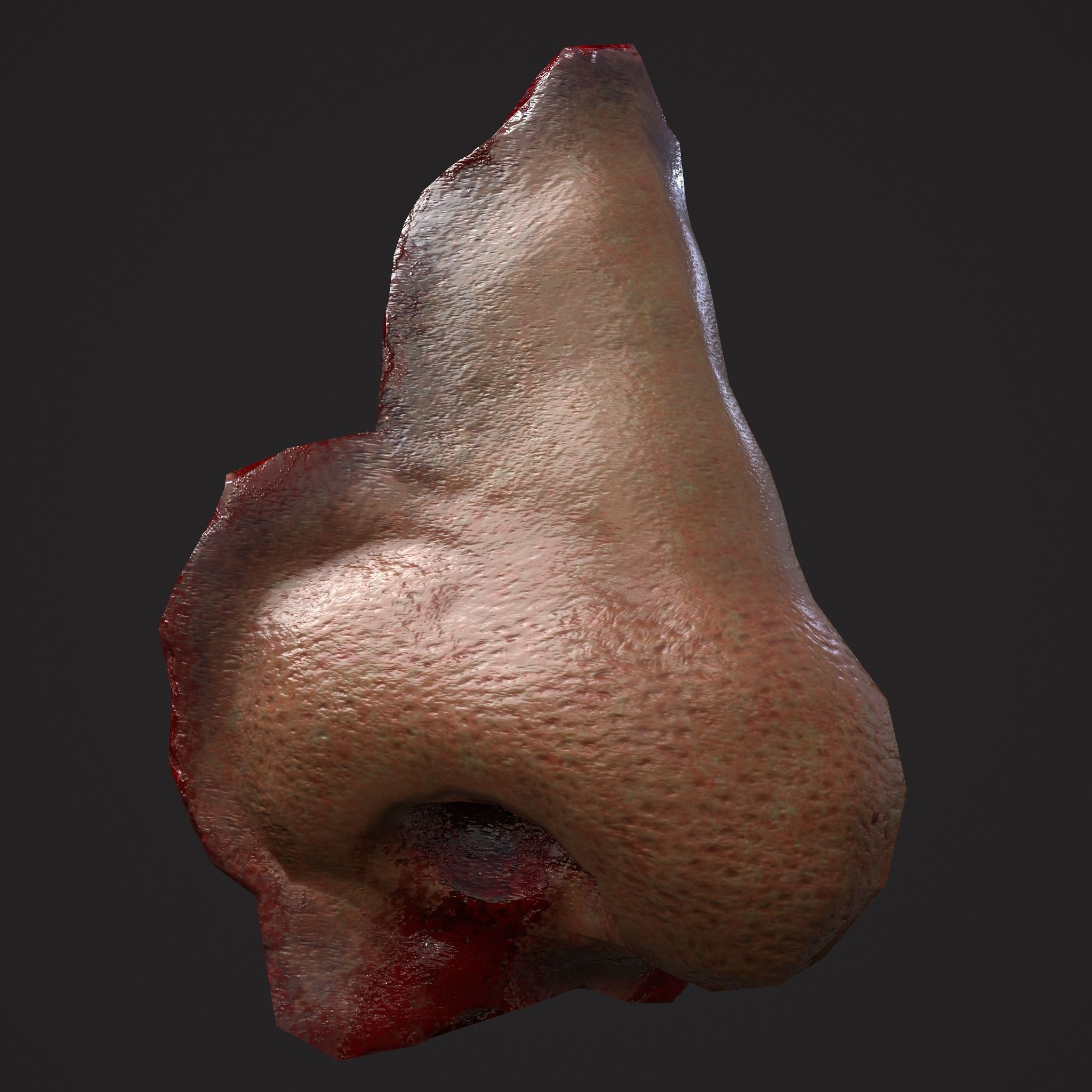 Severed Nose and Toes 3D Model Collection_86