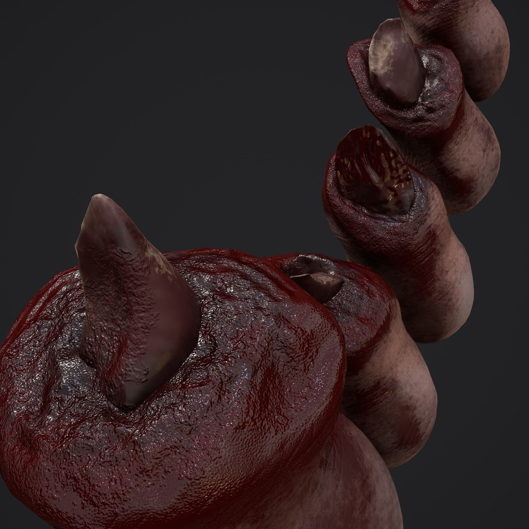 Severed Nose and Toes 3D Model Collection_36
