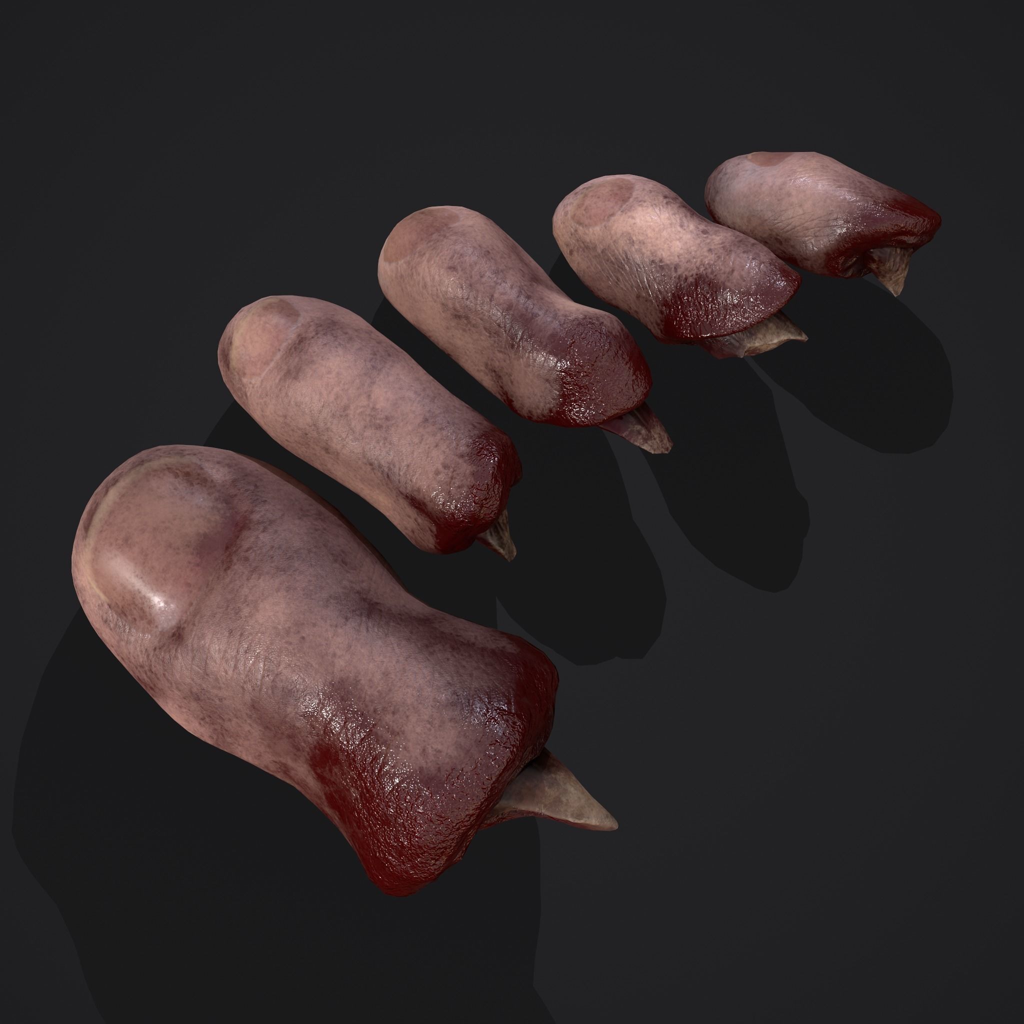 Severed Nose and Toes 3D Model Collection_42