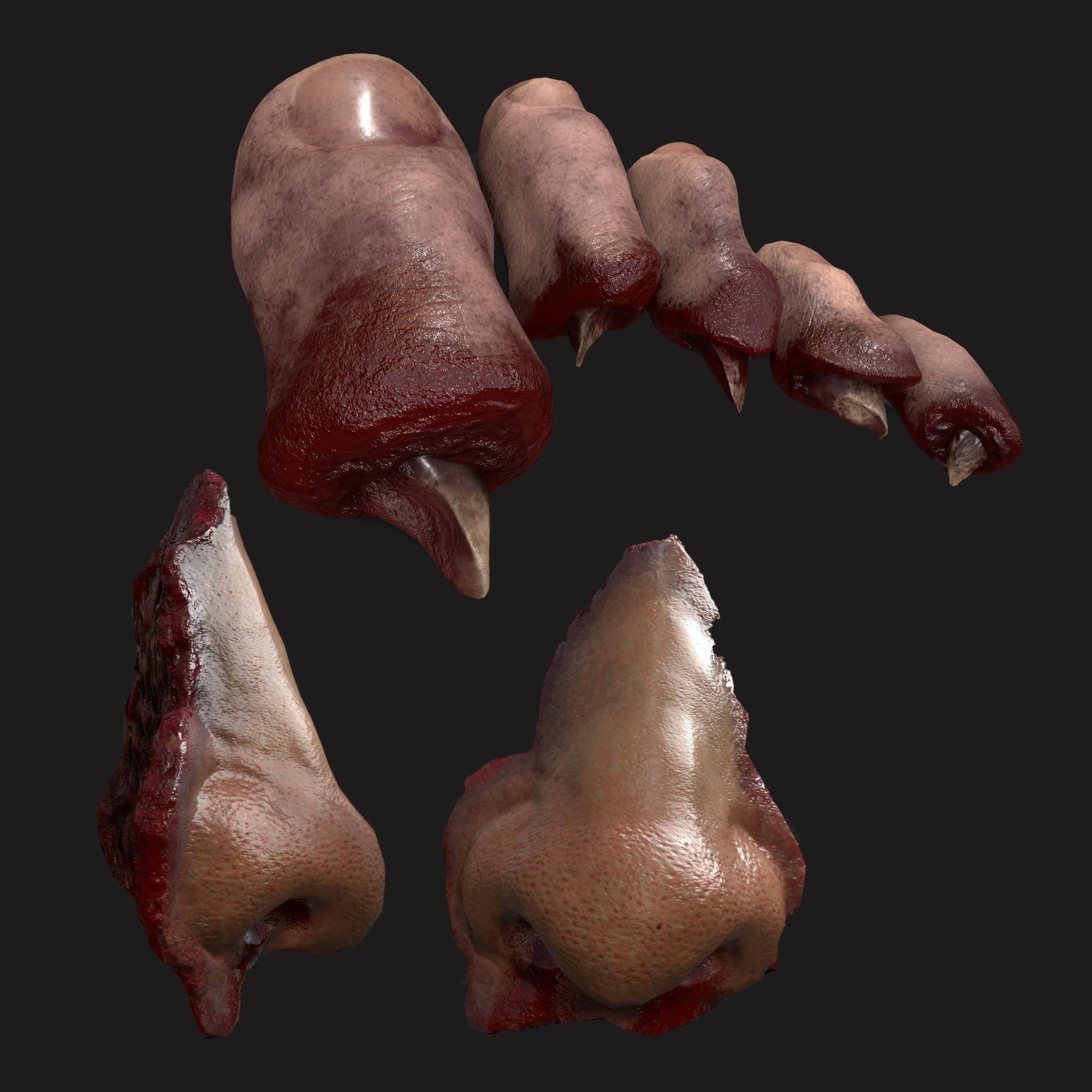 Severed Nose and Toes 3D Model Collection_105