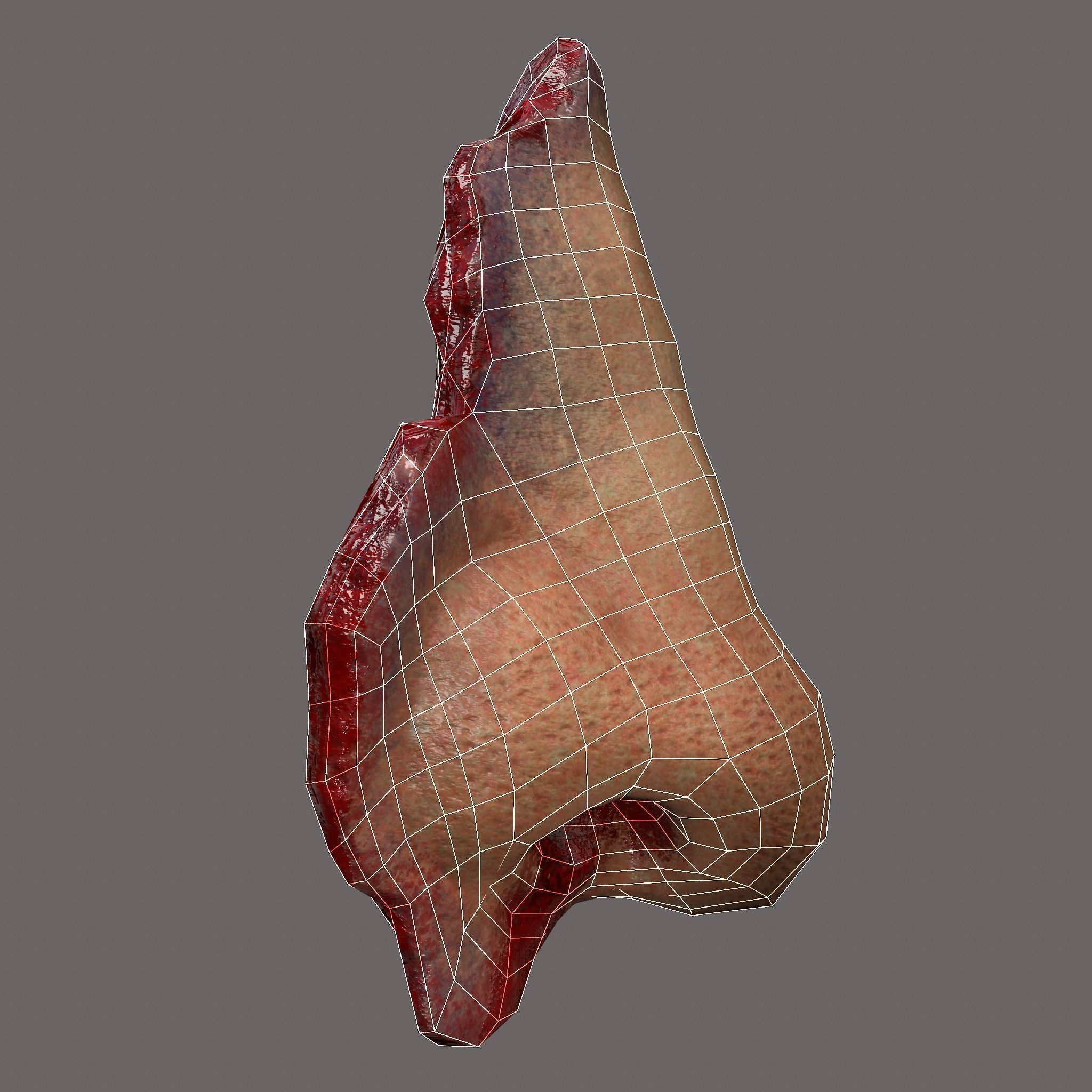 Severed Nose and Toes 3D Model Collection_91