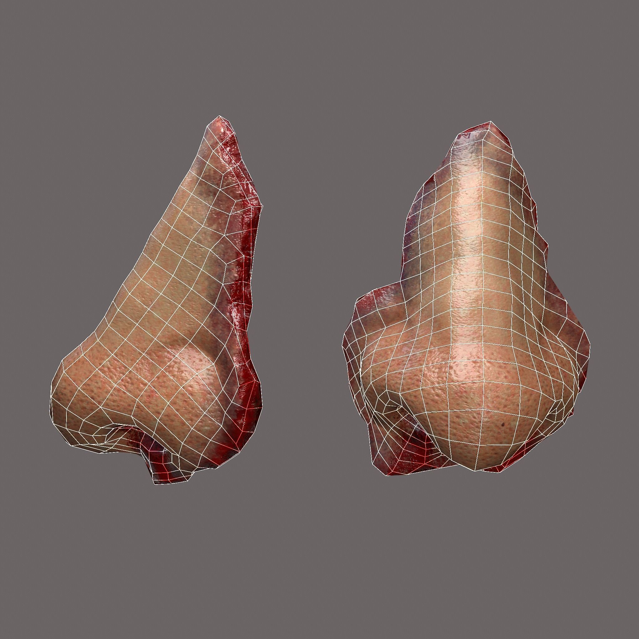 Severed Nose and Toes 3D Model Collection_93