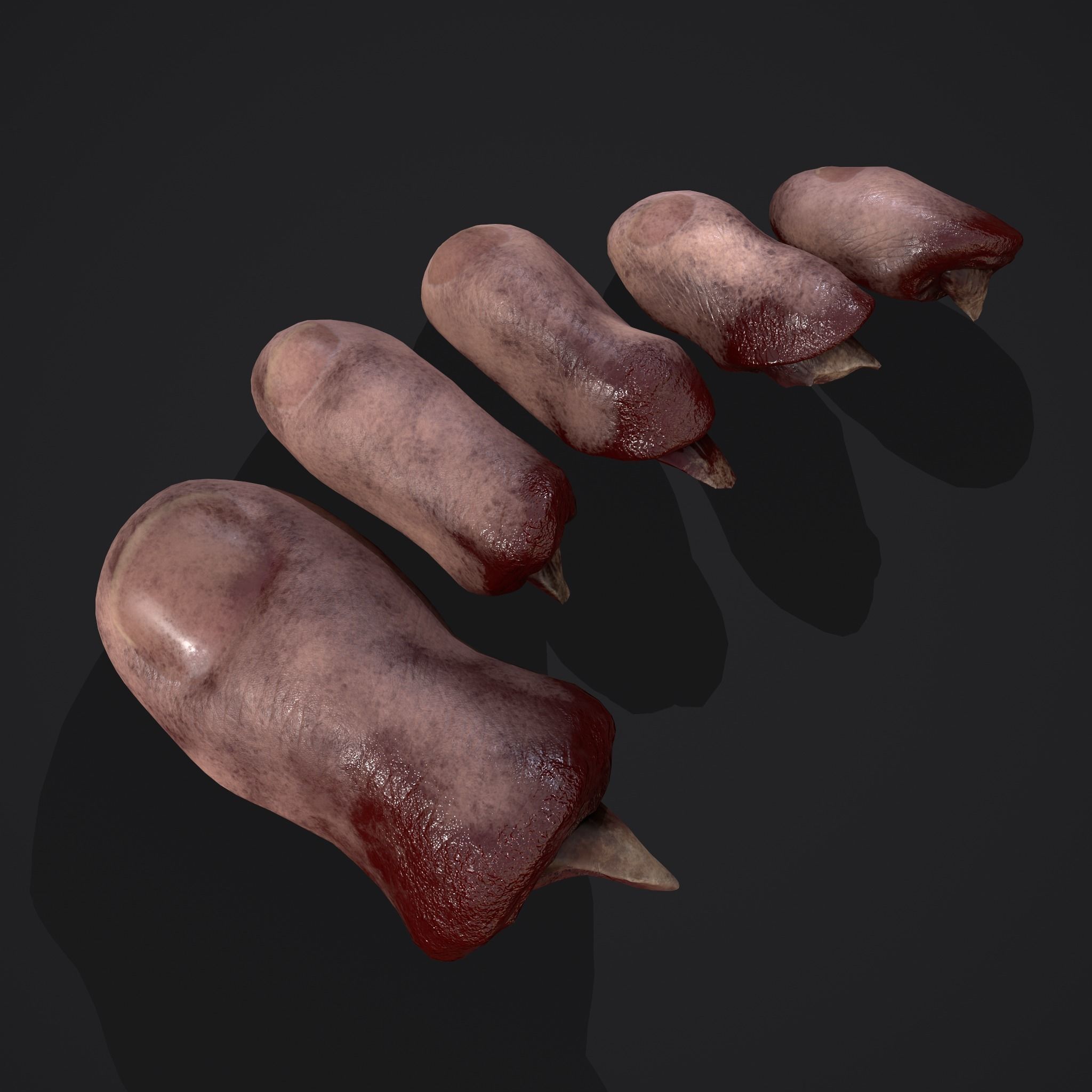 Severed Nose and Toes 3D Model Collection_14