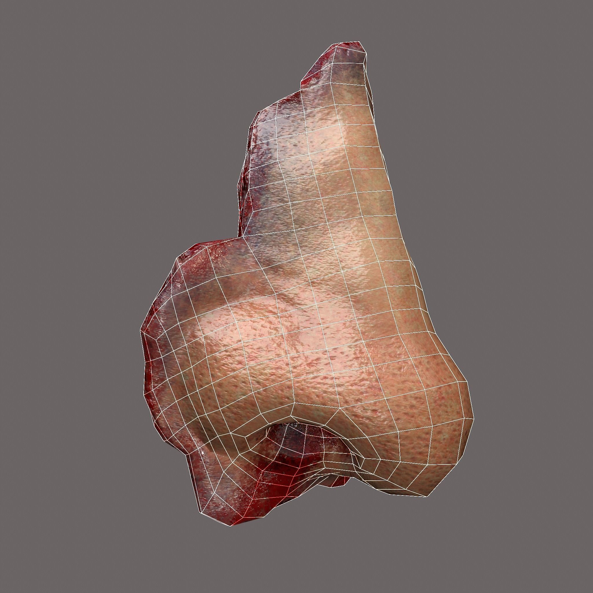 Severed Nose and Toes 3D Model Collection_99