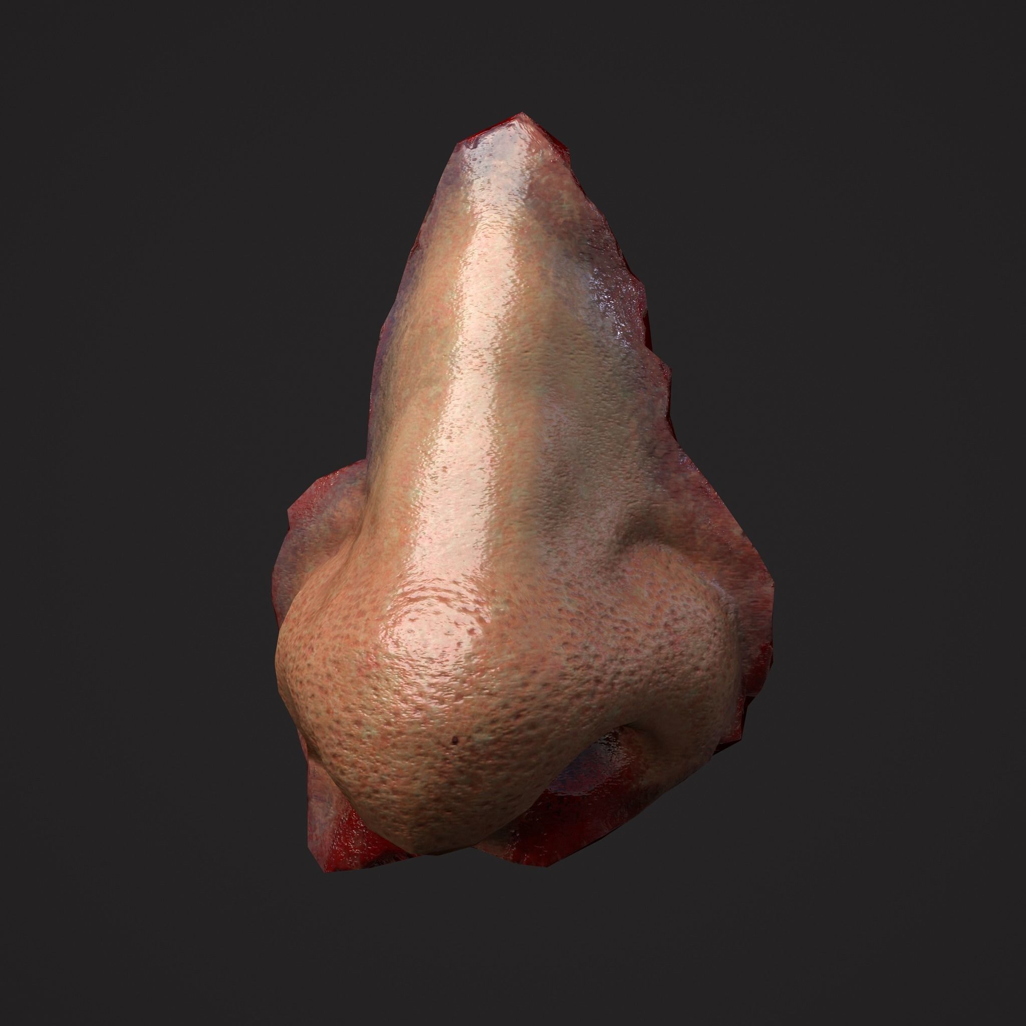 Severed Nose and Toes 3D Model Collection_83
