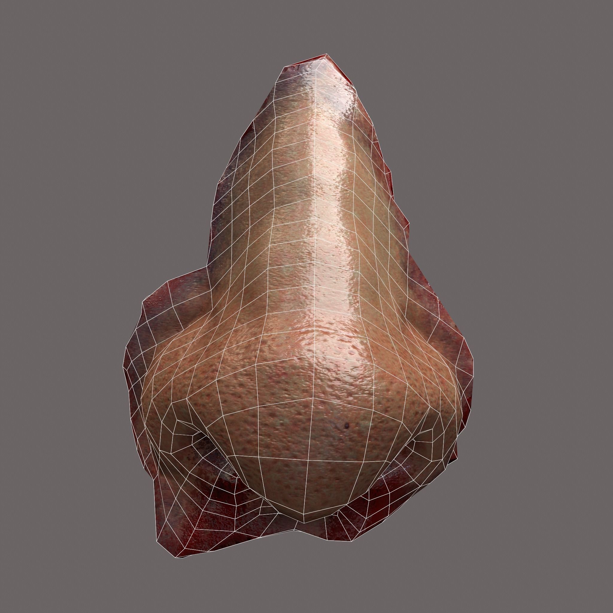 Severed Nose and Toes 3D Model Collection_97