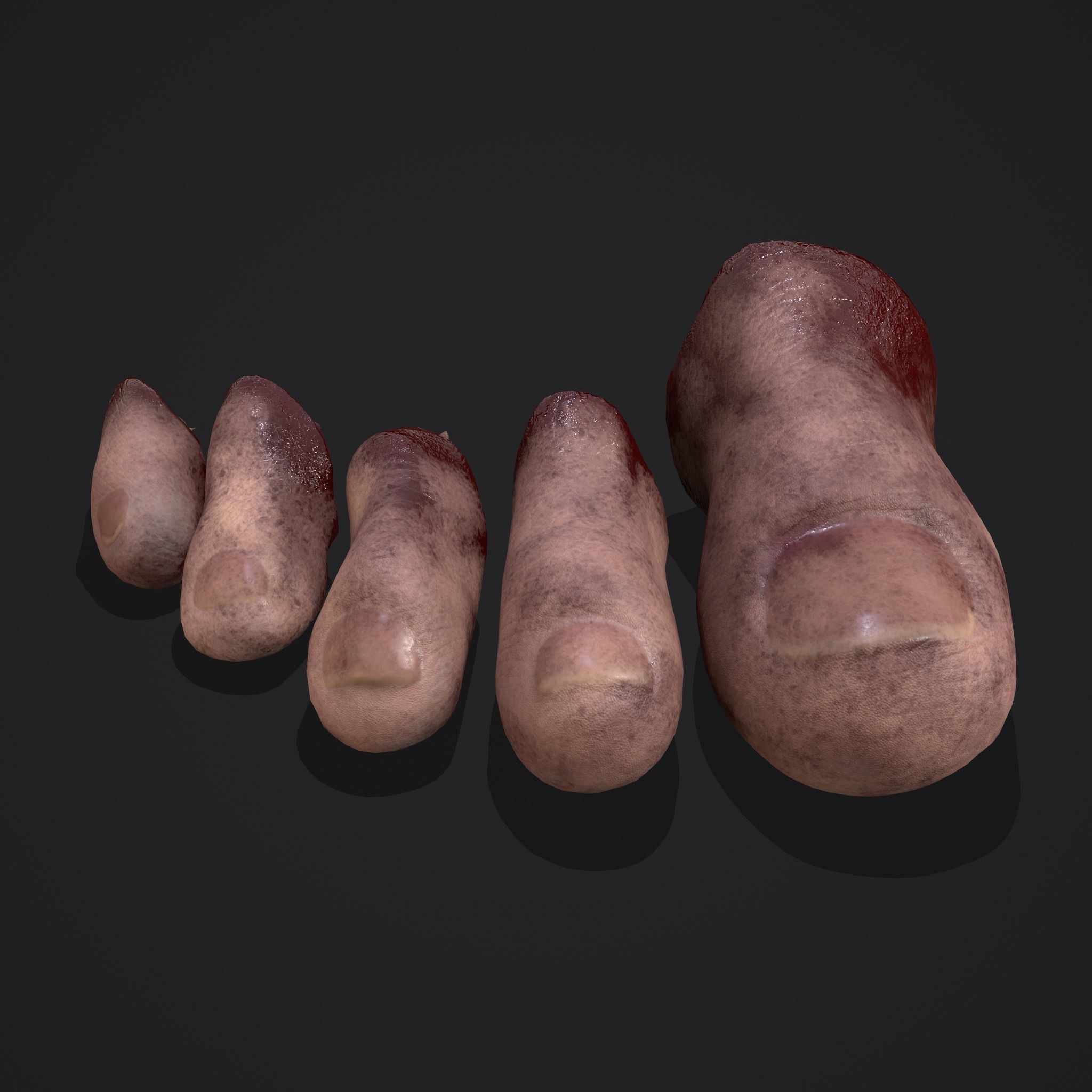 Severed Nose and Toes 3D Model Collection_43