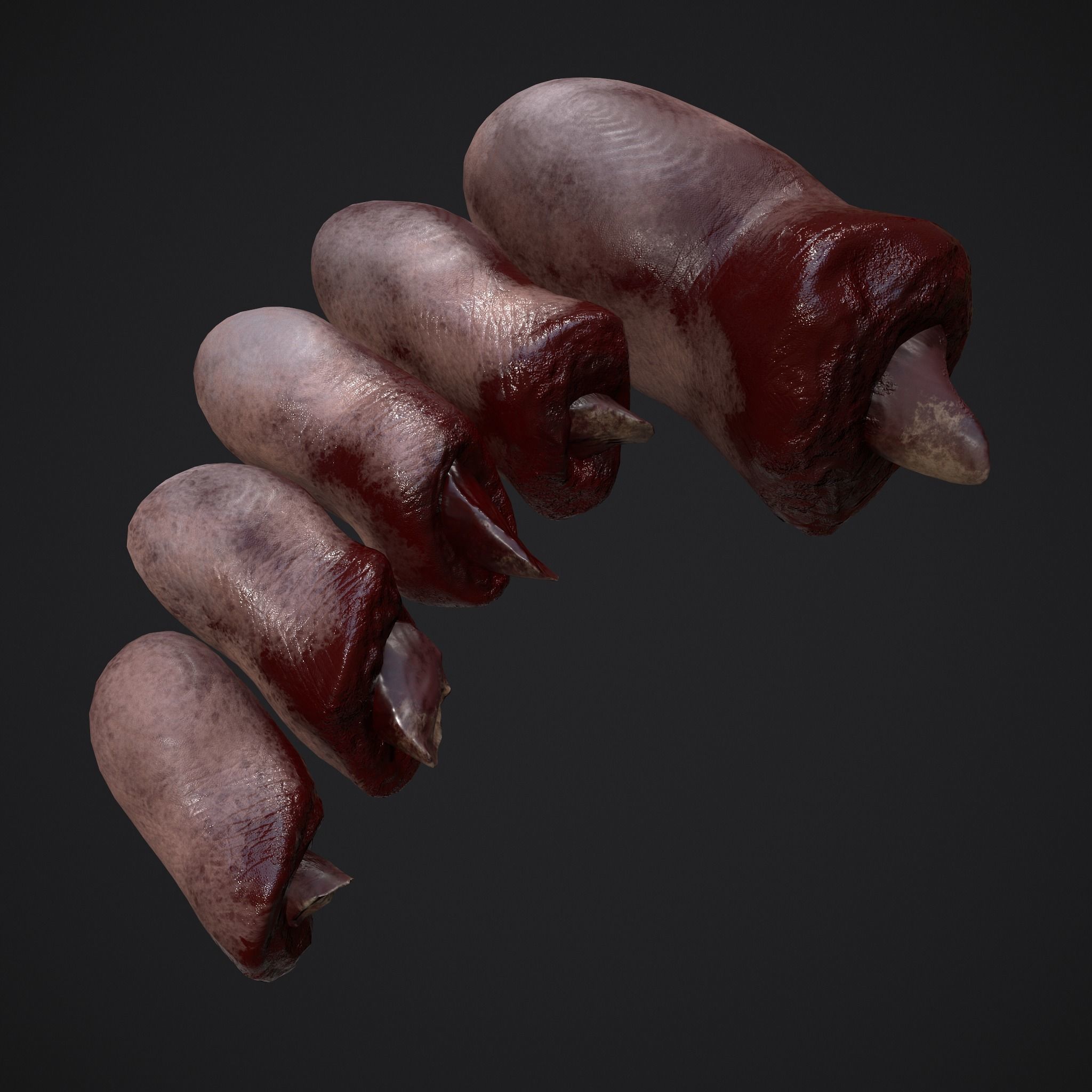 Severed Nose and Toes 3D Model Collection_31