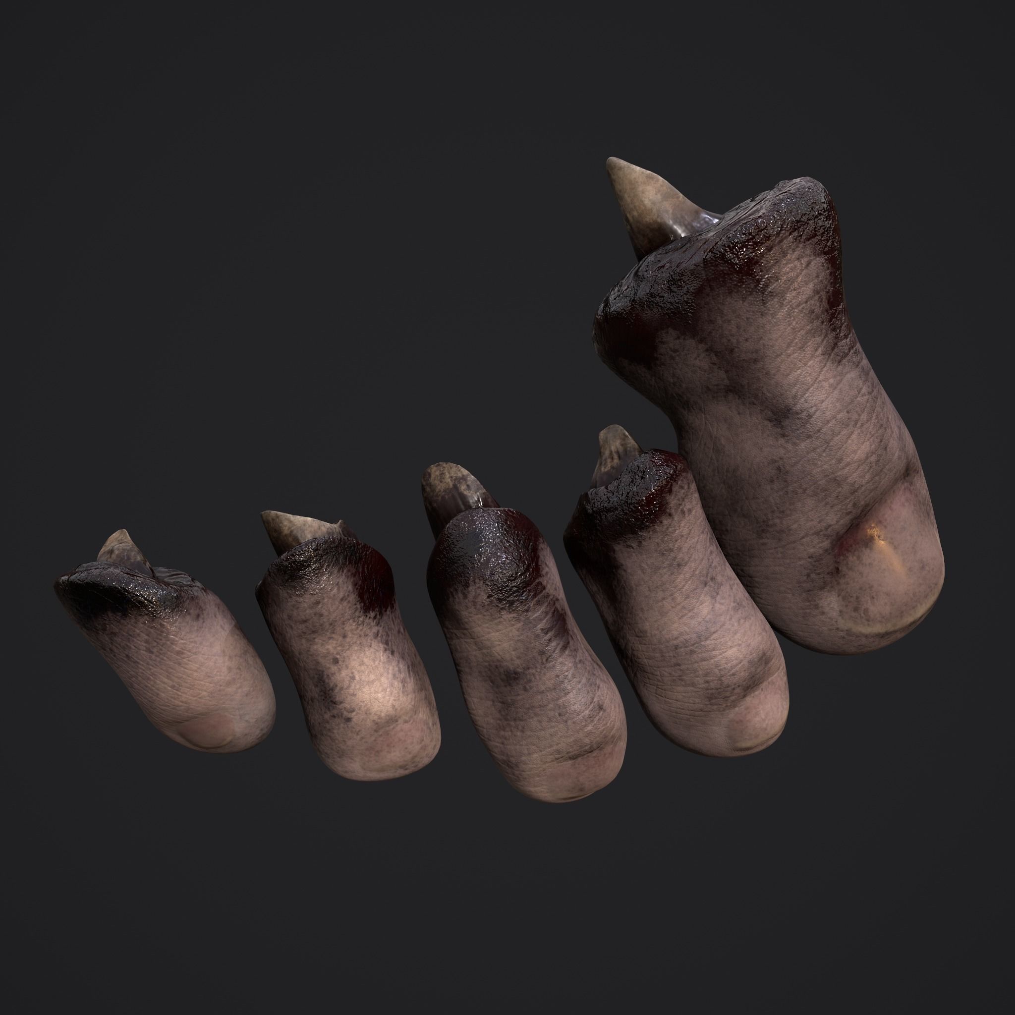Severed Nose and Toes 3D Model Collection_63