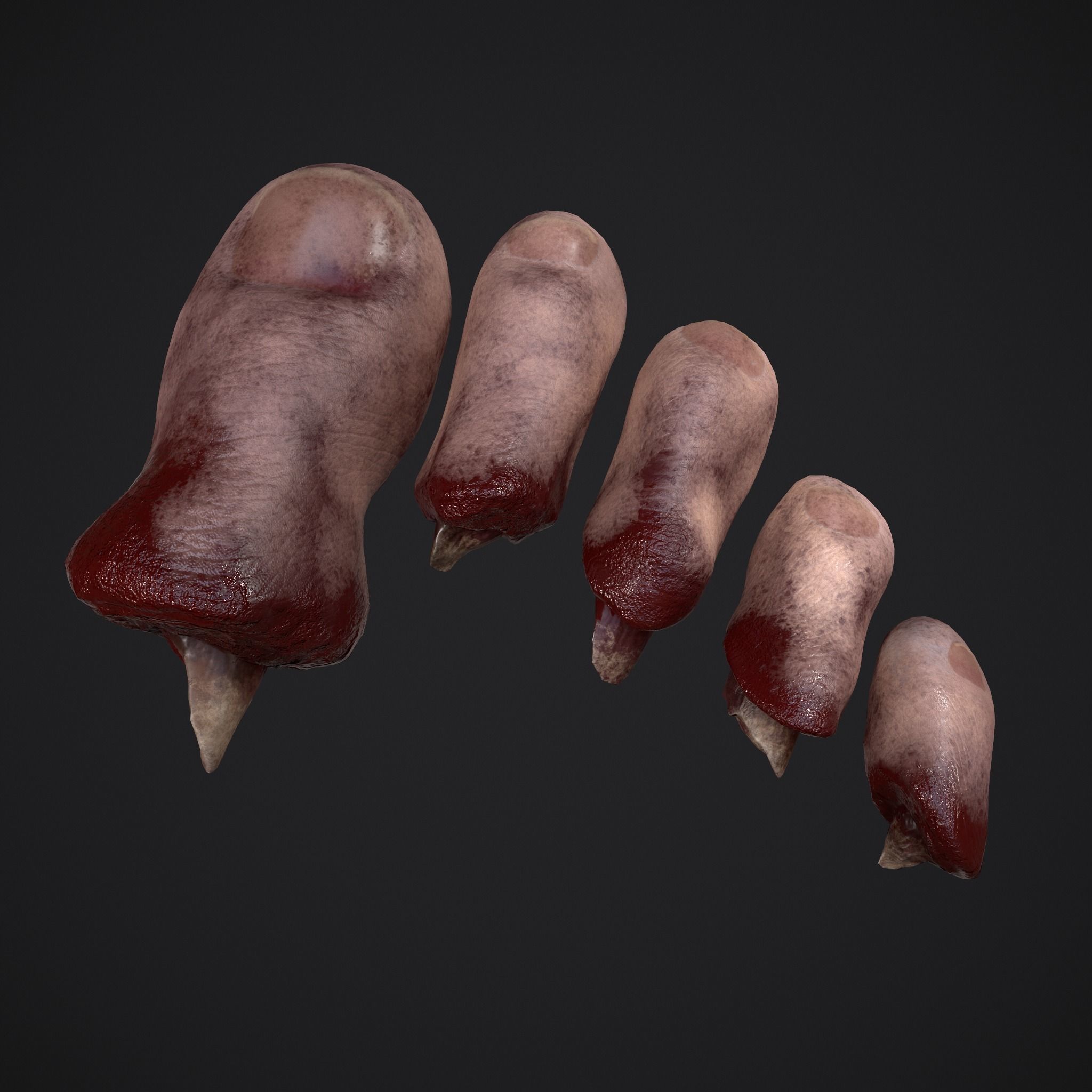 Severed Nose and Toes 3D Model Collection_23