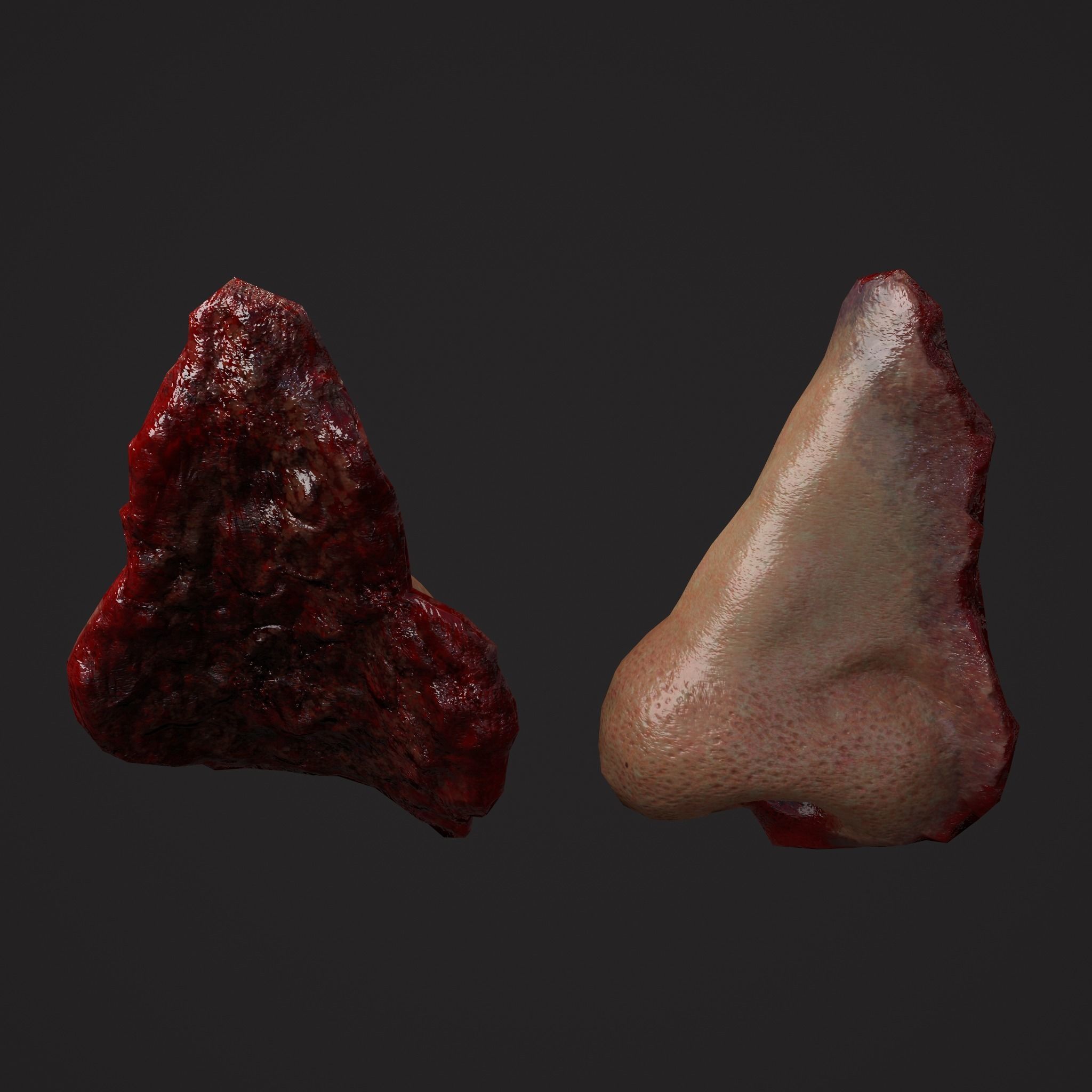 Severed Nose and Toes 3D Model Collection_82