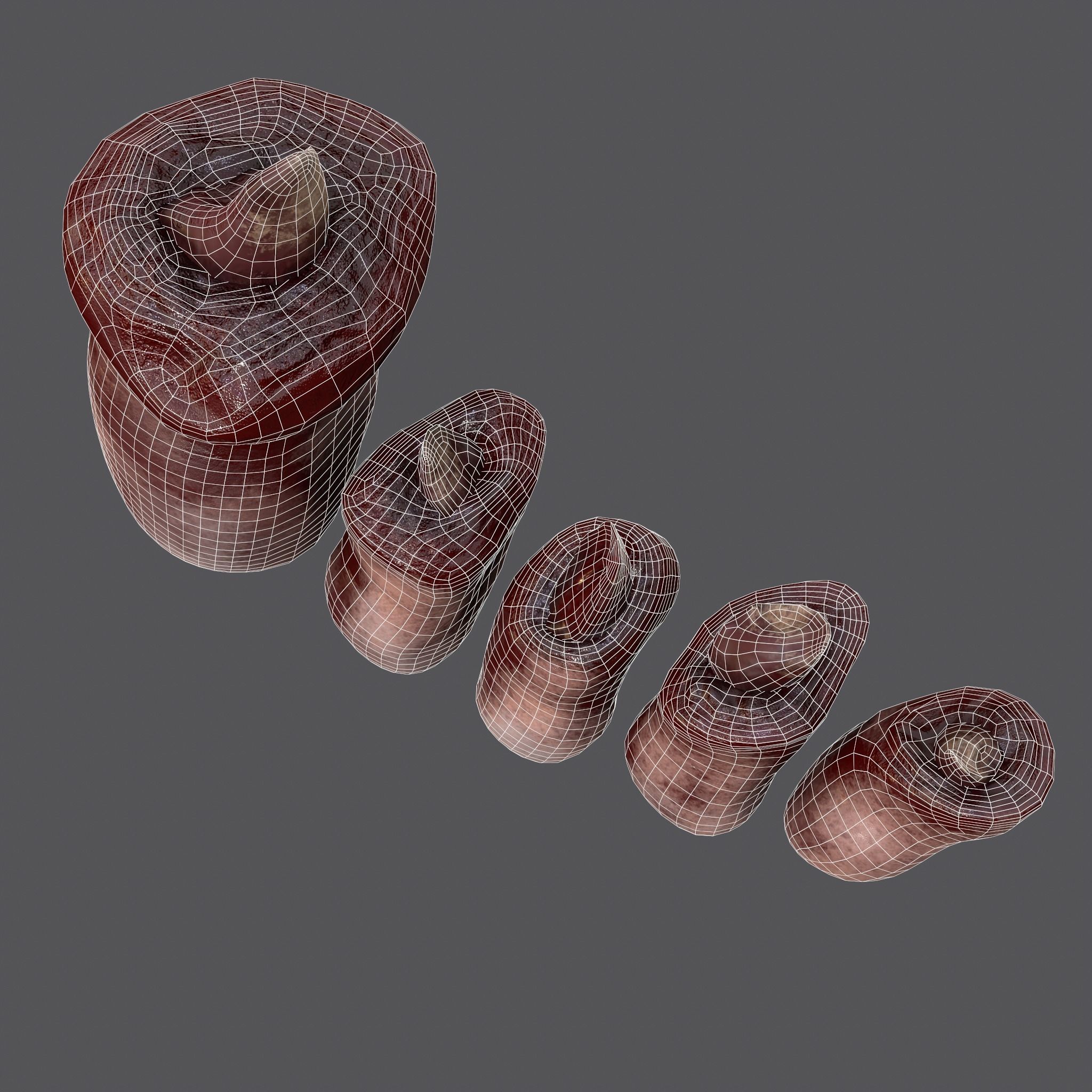 Severed Nose and Toes 3D Model Collection_55