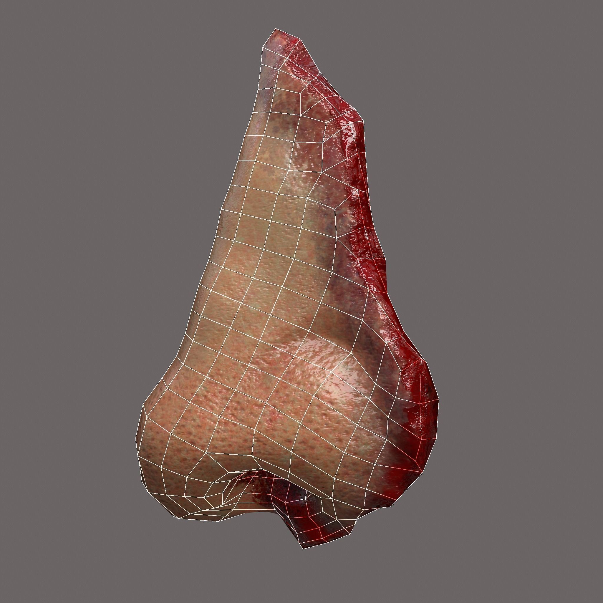 Severed Nose and Toes 3D Model Collection_98