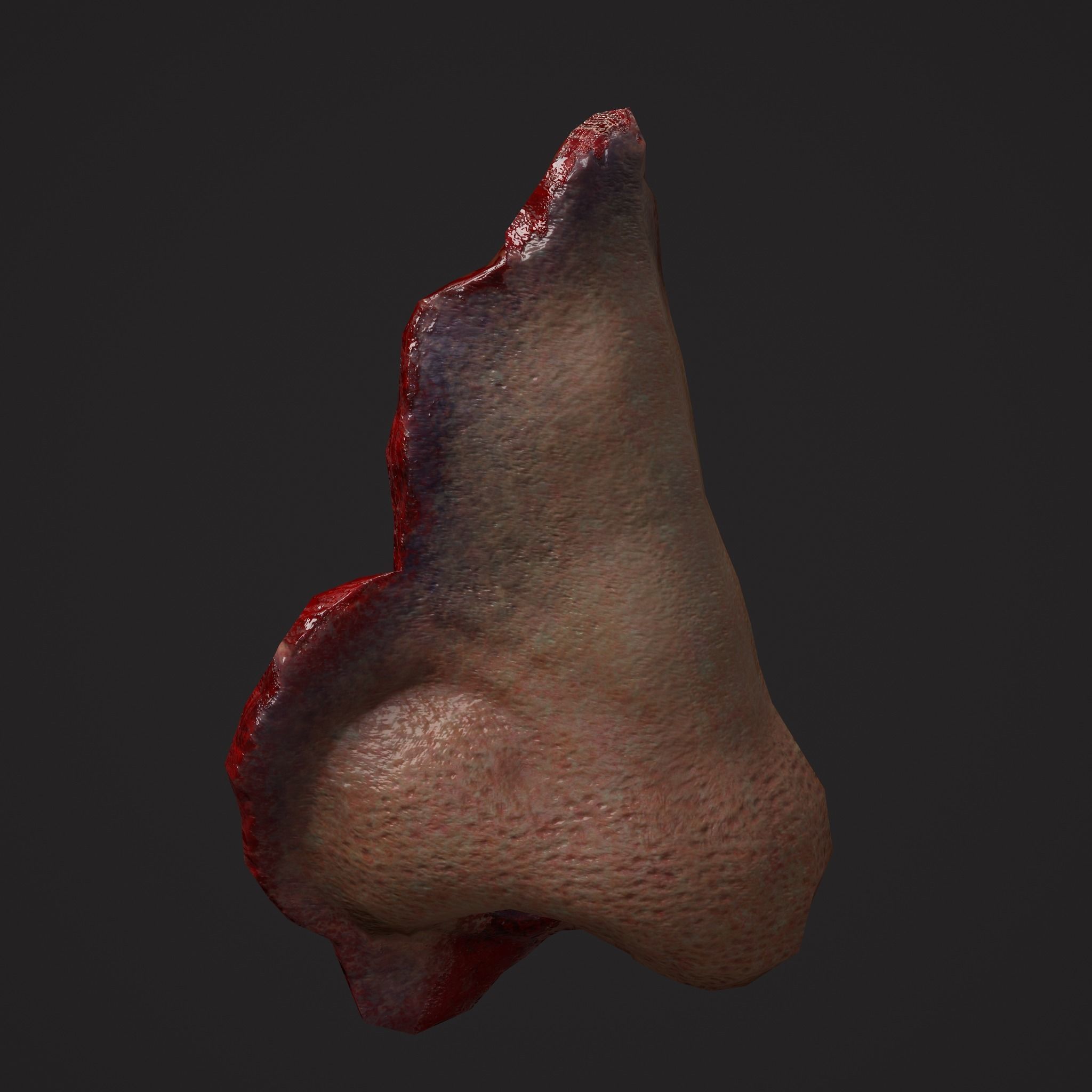 Severed Nose and Toes 3D Model Collection_73