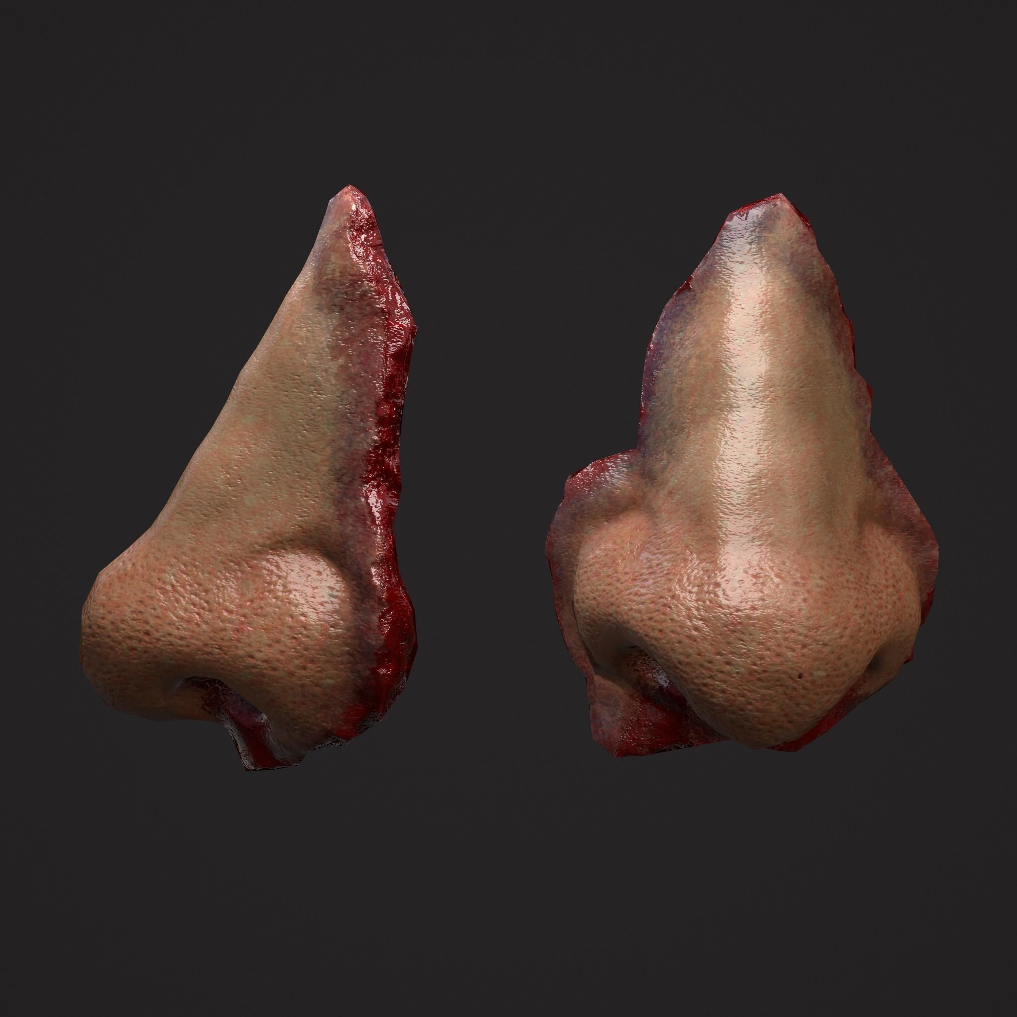 Severed Nose and Toes 3D Model Collection_64