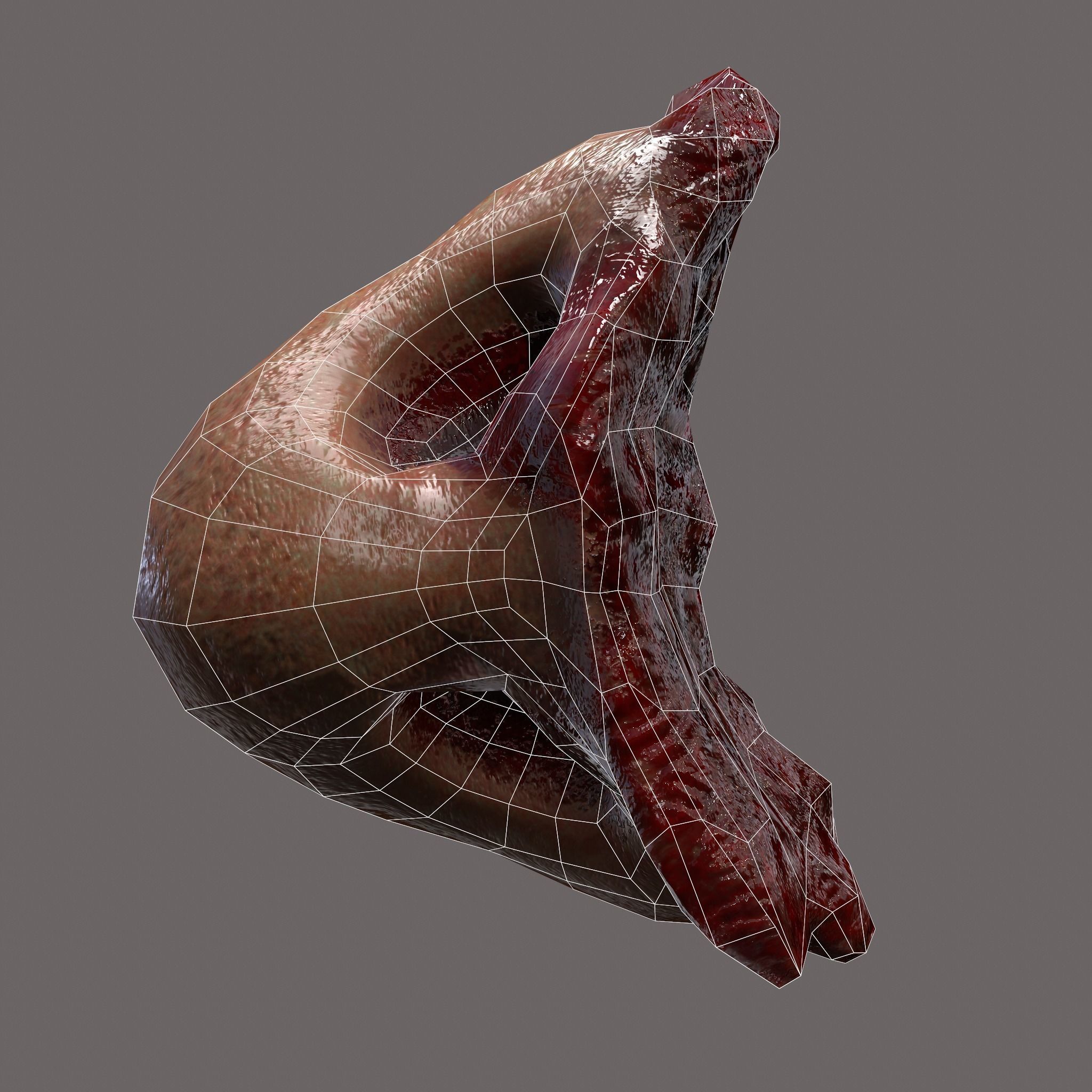 Severed Nose and Toes 3D Model Collection_102