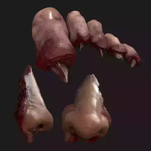 Severed Nose and Toes 3D Model Collection