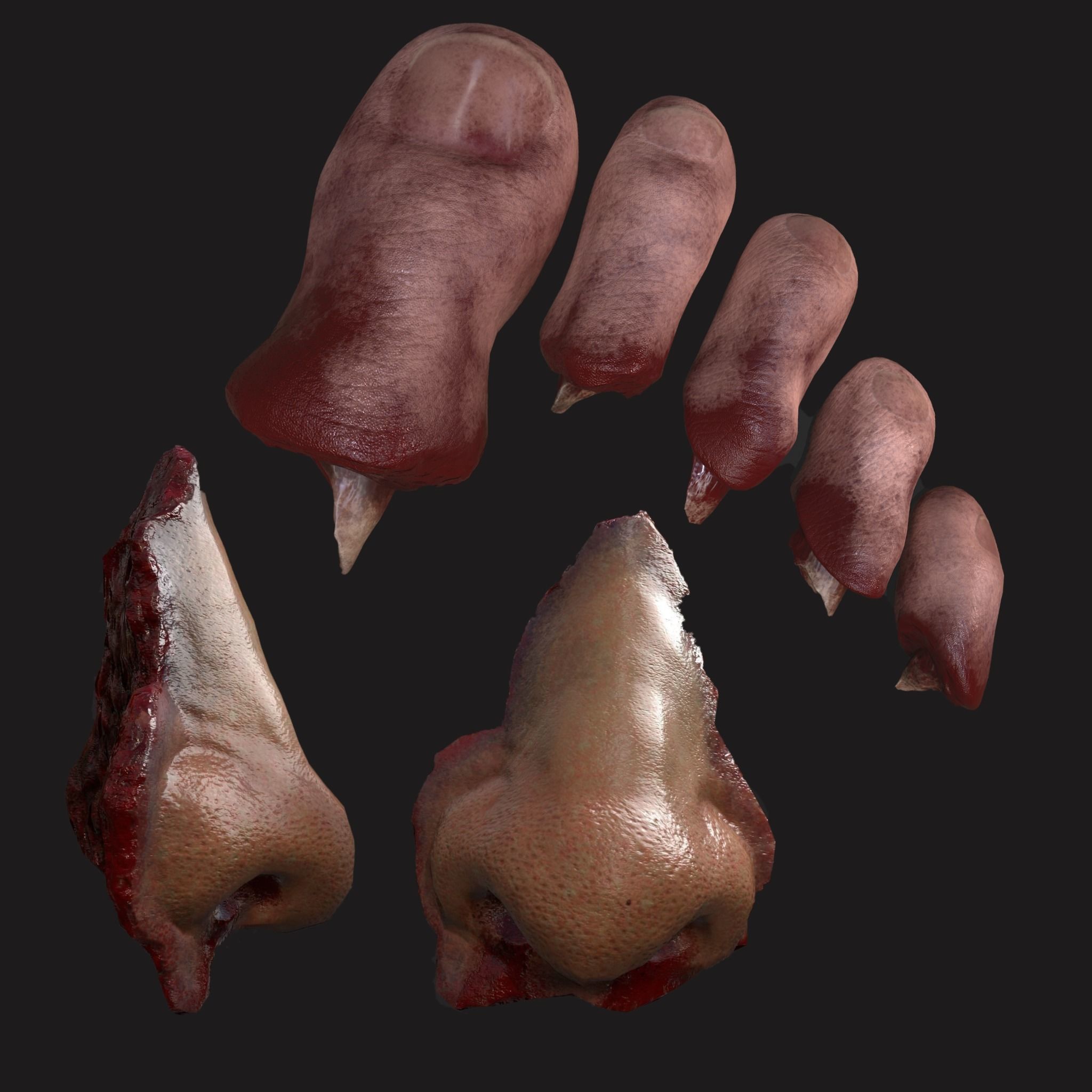 Severed Nose and Toes 3D Model Collection_6