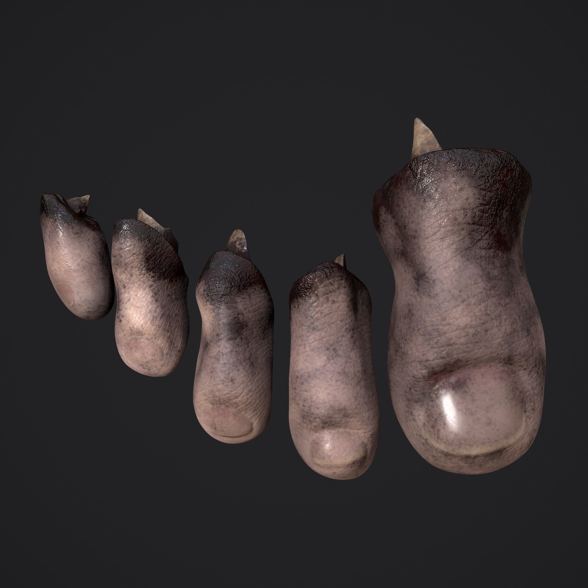 Severed Nose and Toes 3D Model Collection_45