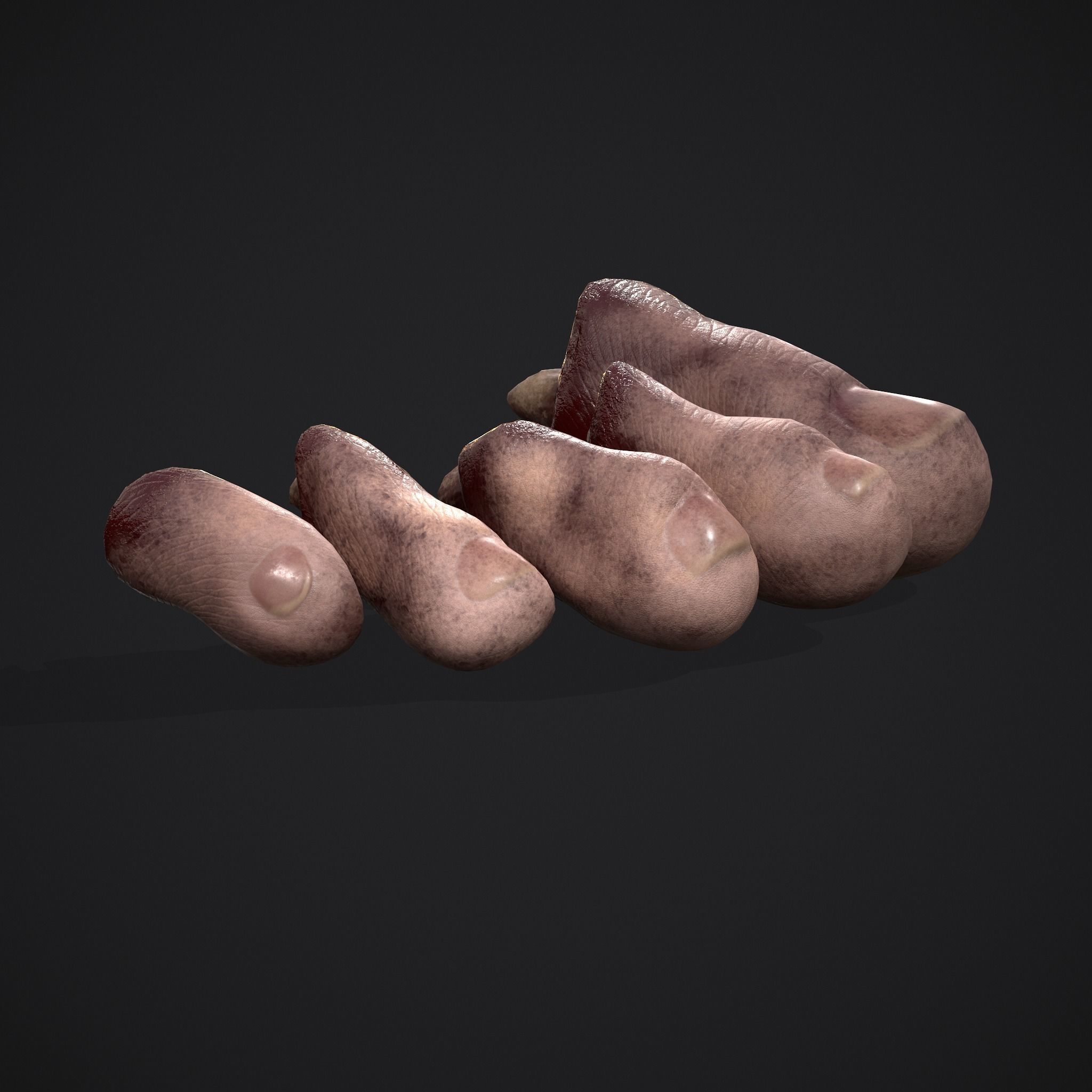 Severed Nose and Toes 3D Model Collection_16