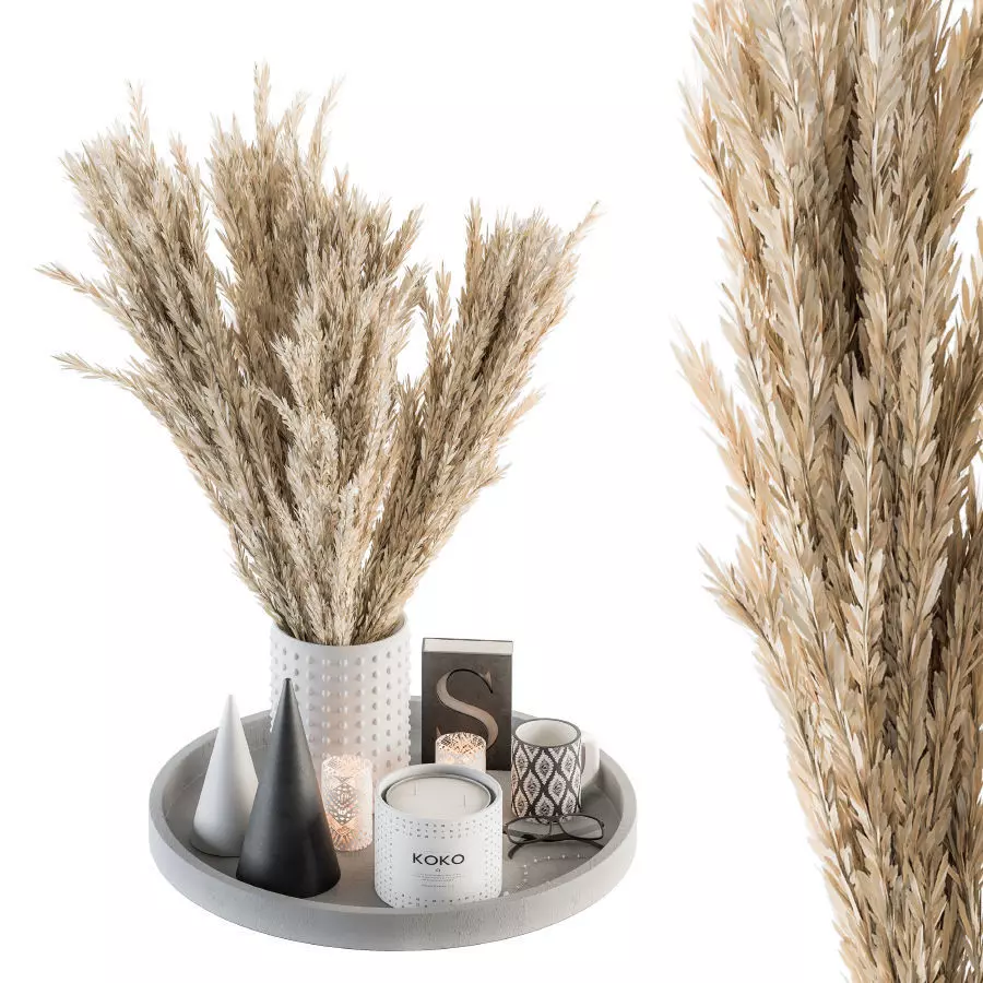 Decorative Set Dried Plants and Pampas - Set 53 3D model