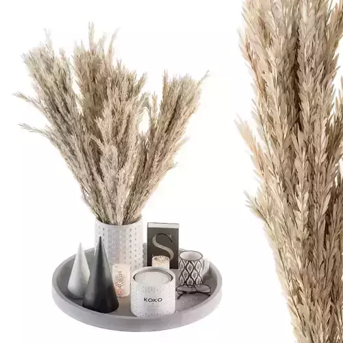 Decorative Set Dried Plants and Pampas - Set 53