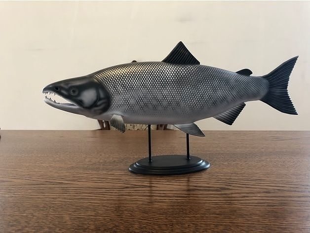 Salmon fish Free 3D print model