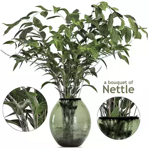 A bouquet of Nettle and Magnolia