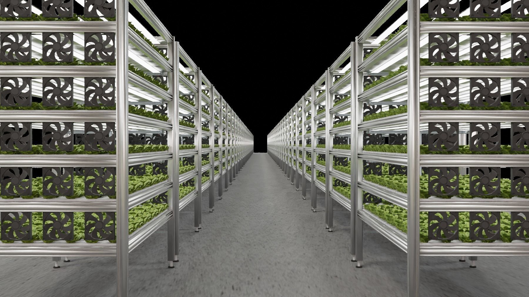 Vertical farm hydroponic 3D model_12