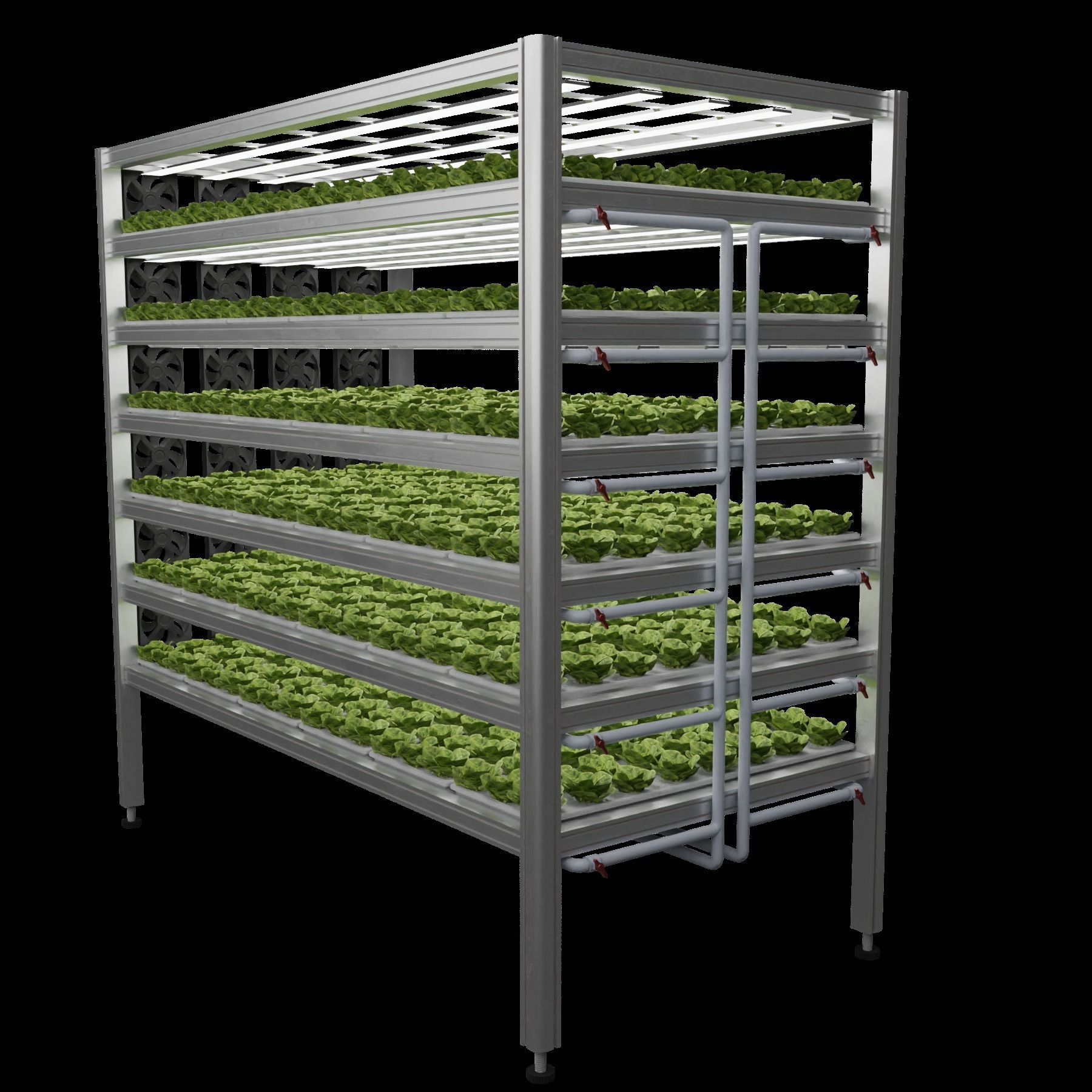Vertical farm hydroponic 3D model_2