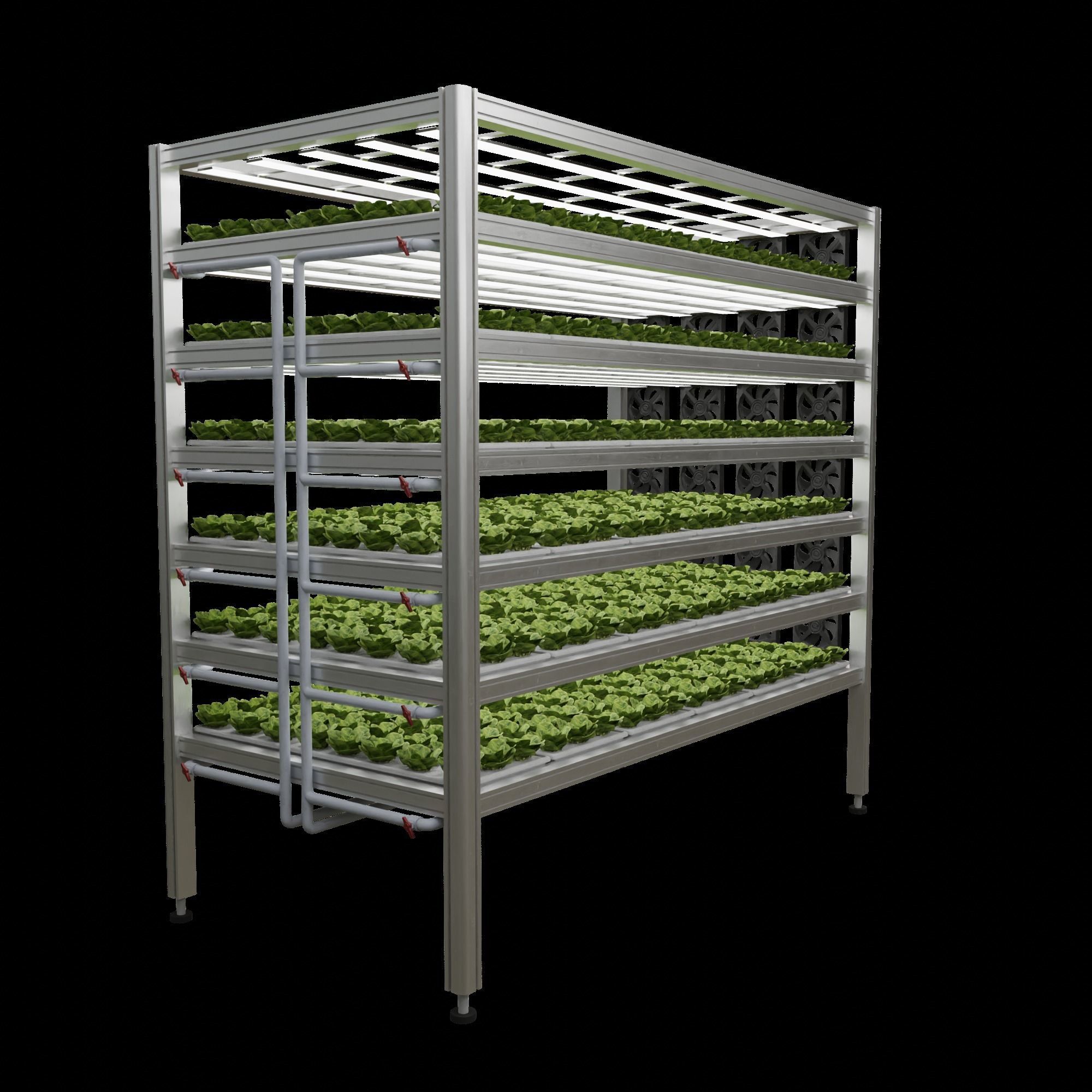 Vertical farm hydroponic 3D model_5