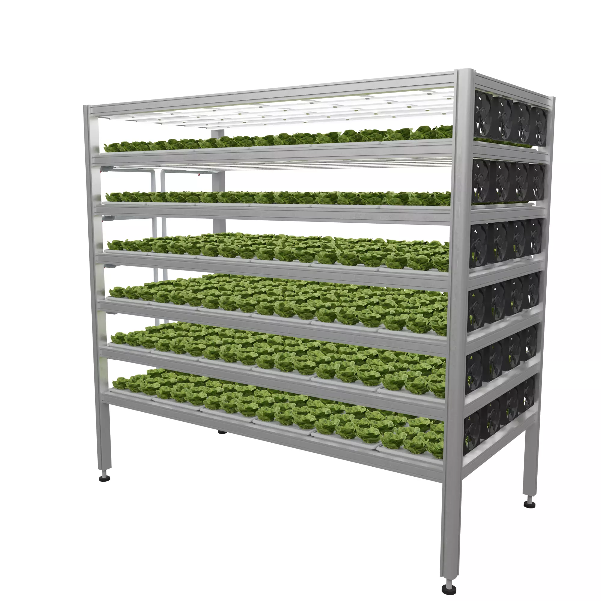 Vertical farm hydroponic 3D model_0