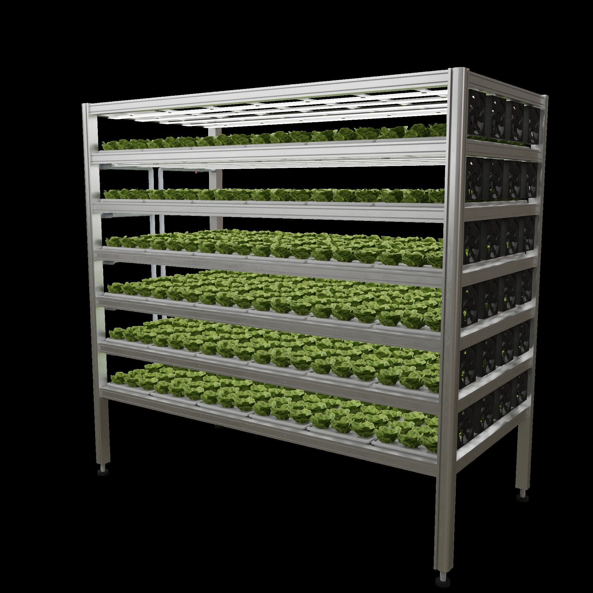 Vertical farm hydroponic 3D model_4