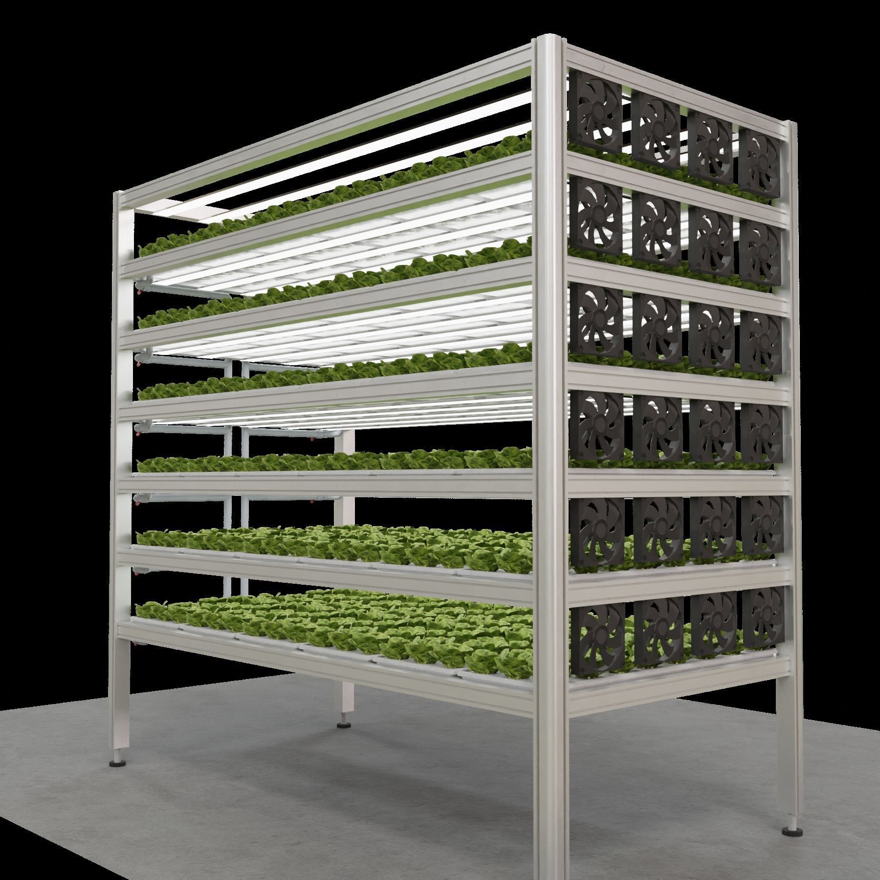 Vertical farm hydroponic 3D model_11