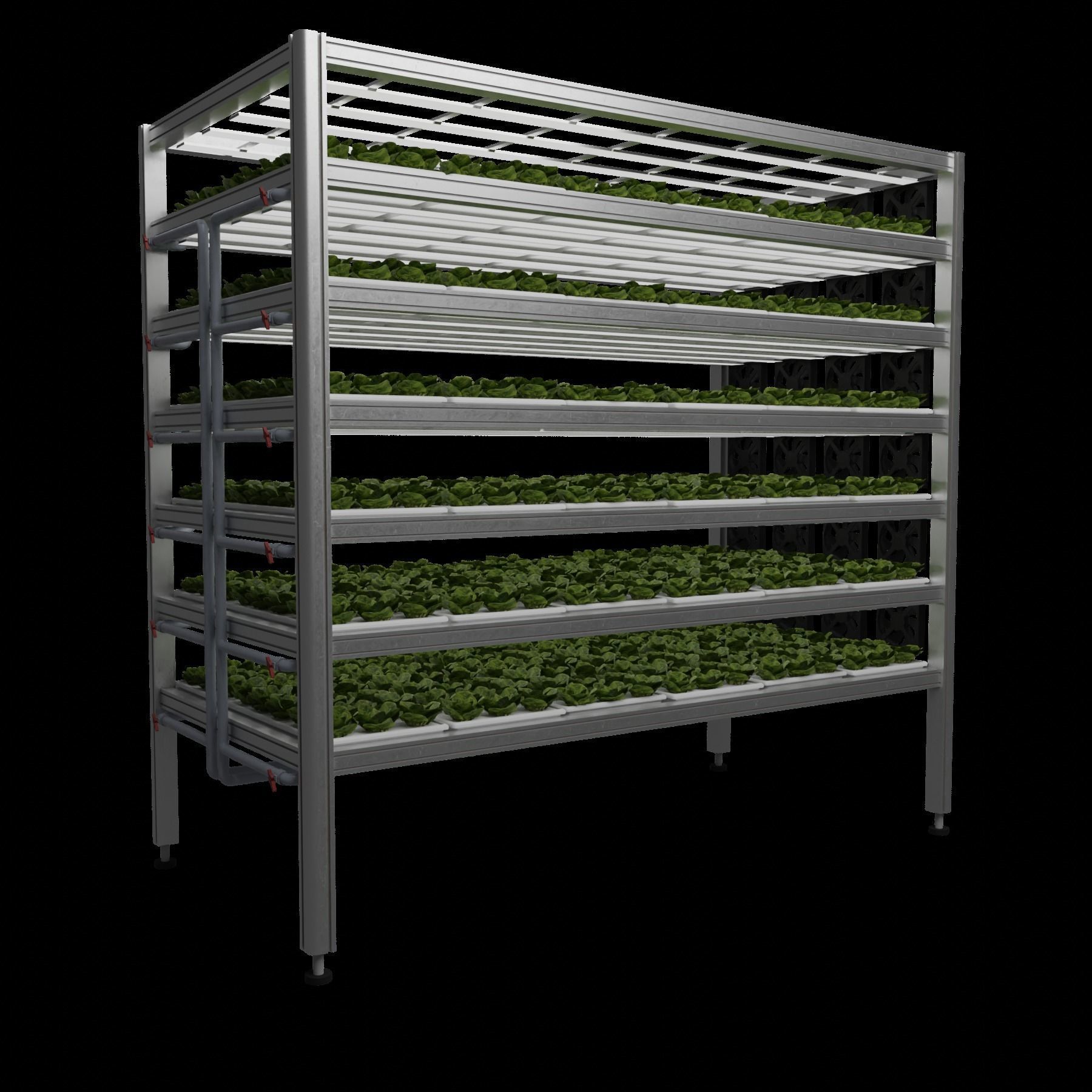 Vertical farm hydroponic 3D model_3