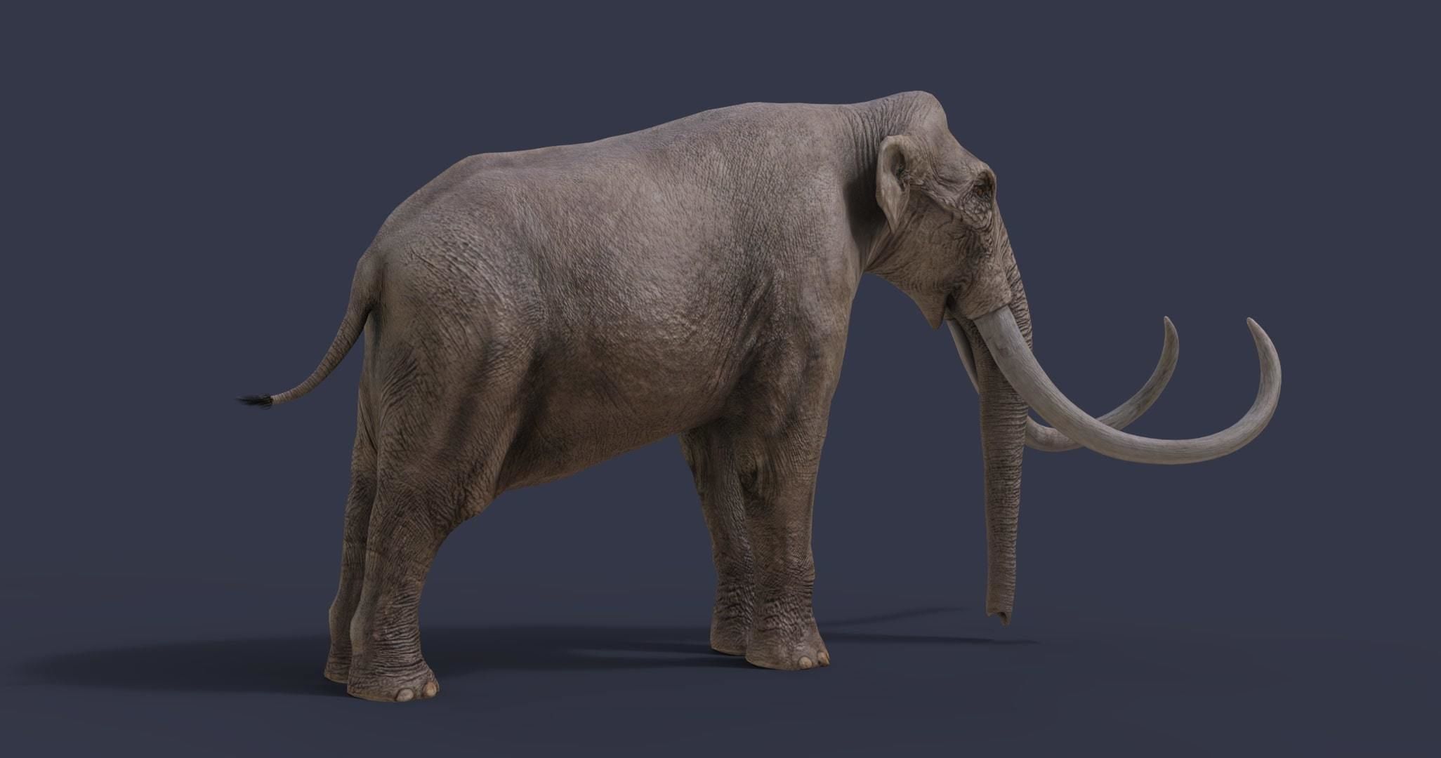 Extinct animals pack version 17 3D model_30