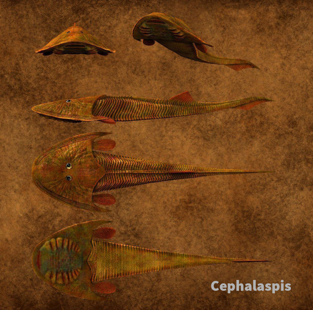 Extinct animals pack version 17 3D model_132