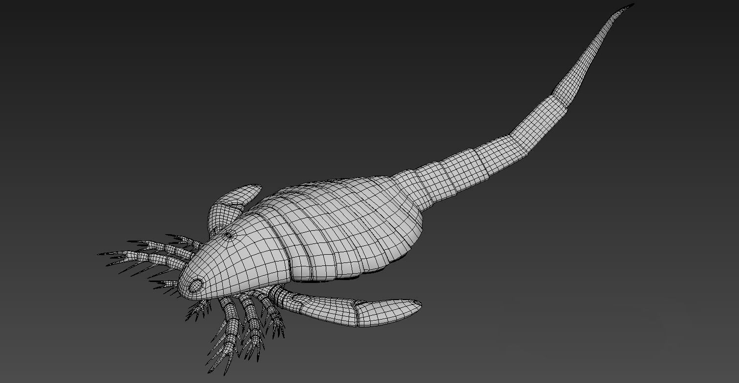 Extinct animals pack version 17 3D model_75