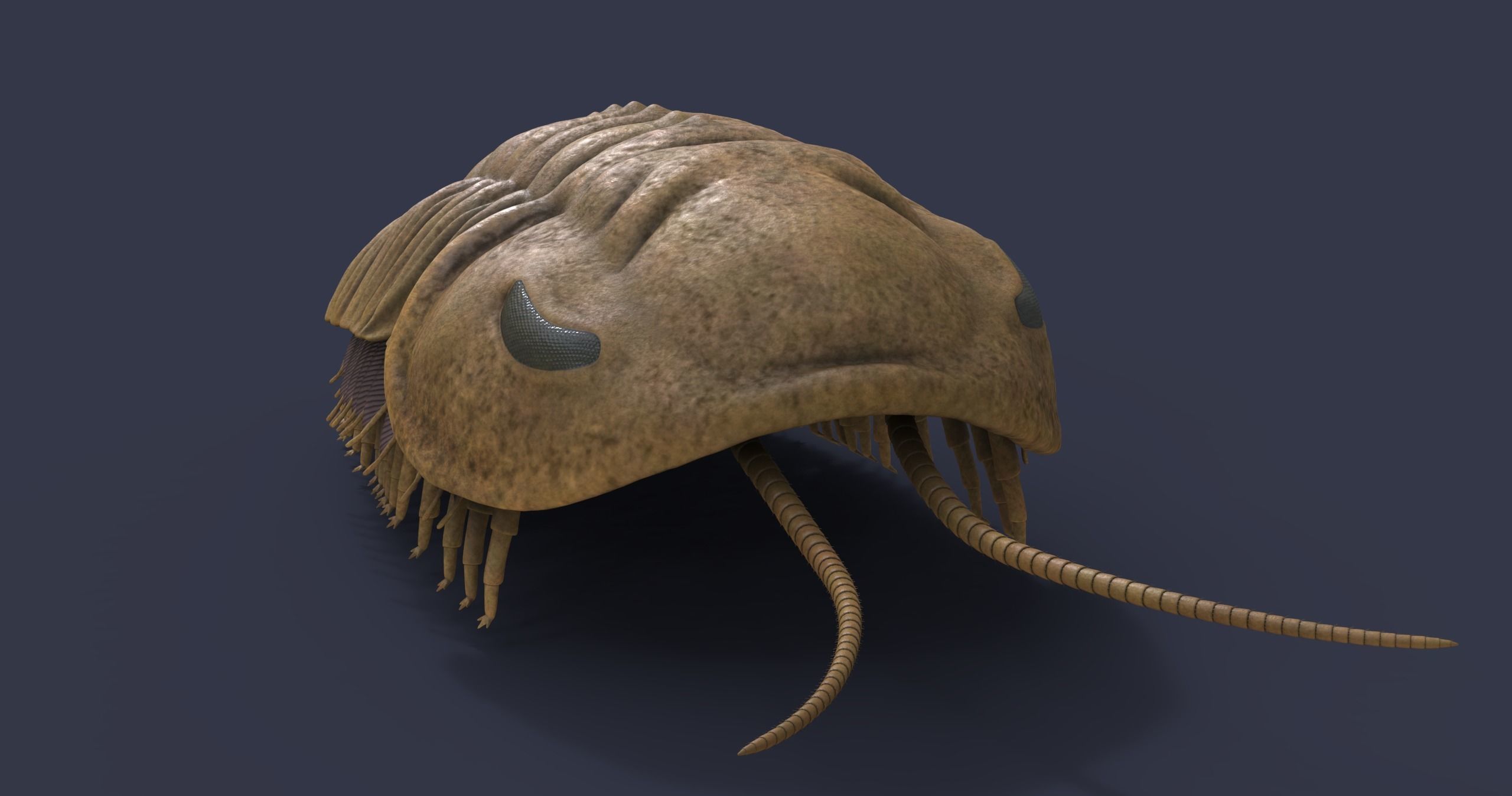 Extinct animals pack version 17 3D model_10