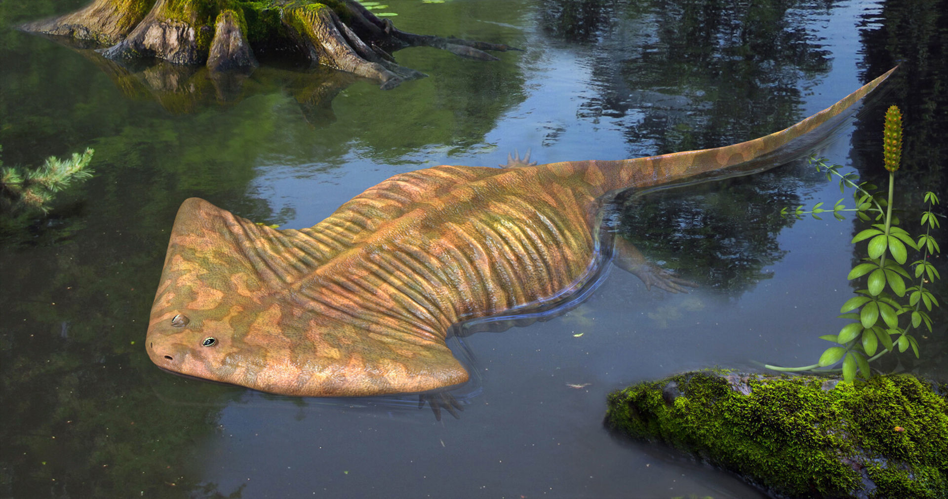 Extinct animals pack version 17 3D model_103