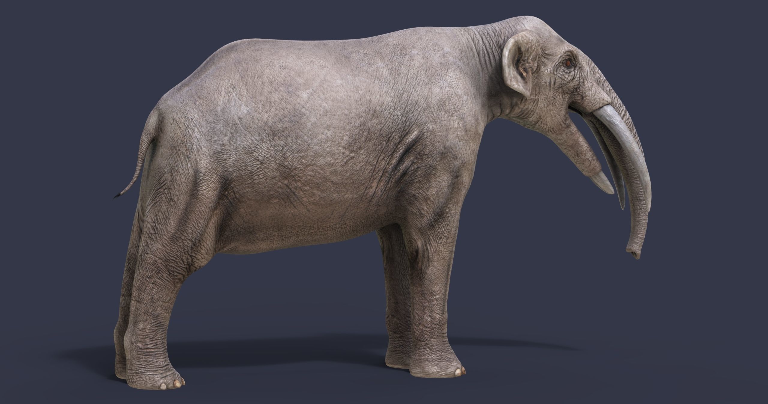 Extinct animals pack version 17 3D model_8
