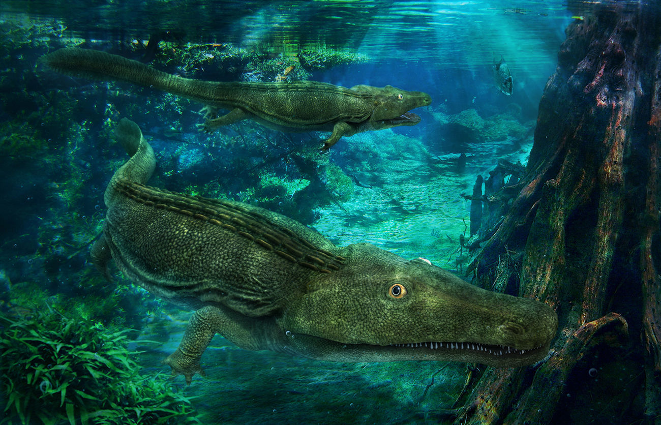 Extinct animals pack version 17 3D model_79