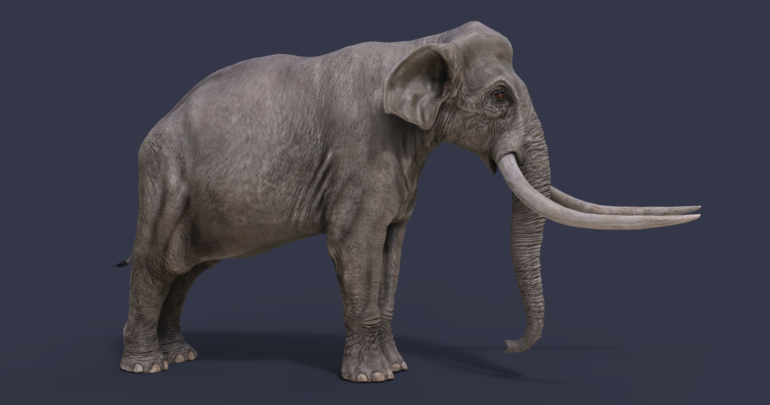 Extinct animals pack version 17 3D model_23