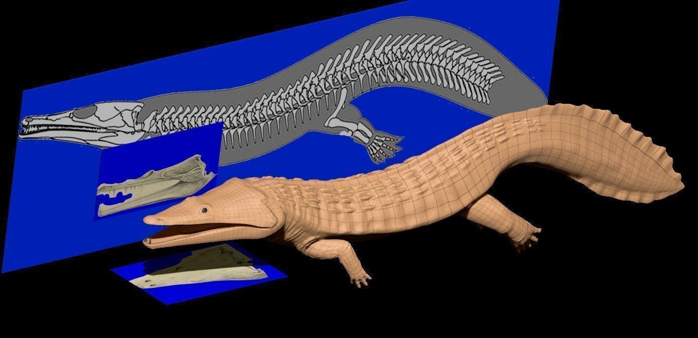 Extinct animals pack version 17 3D model_126