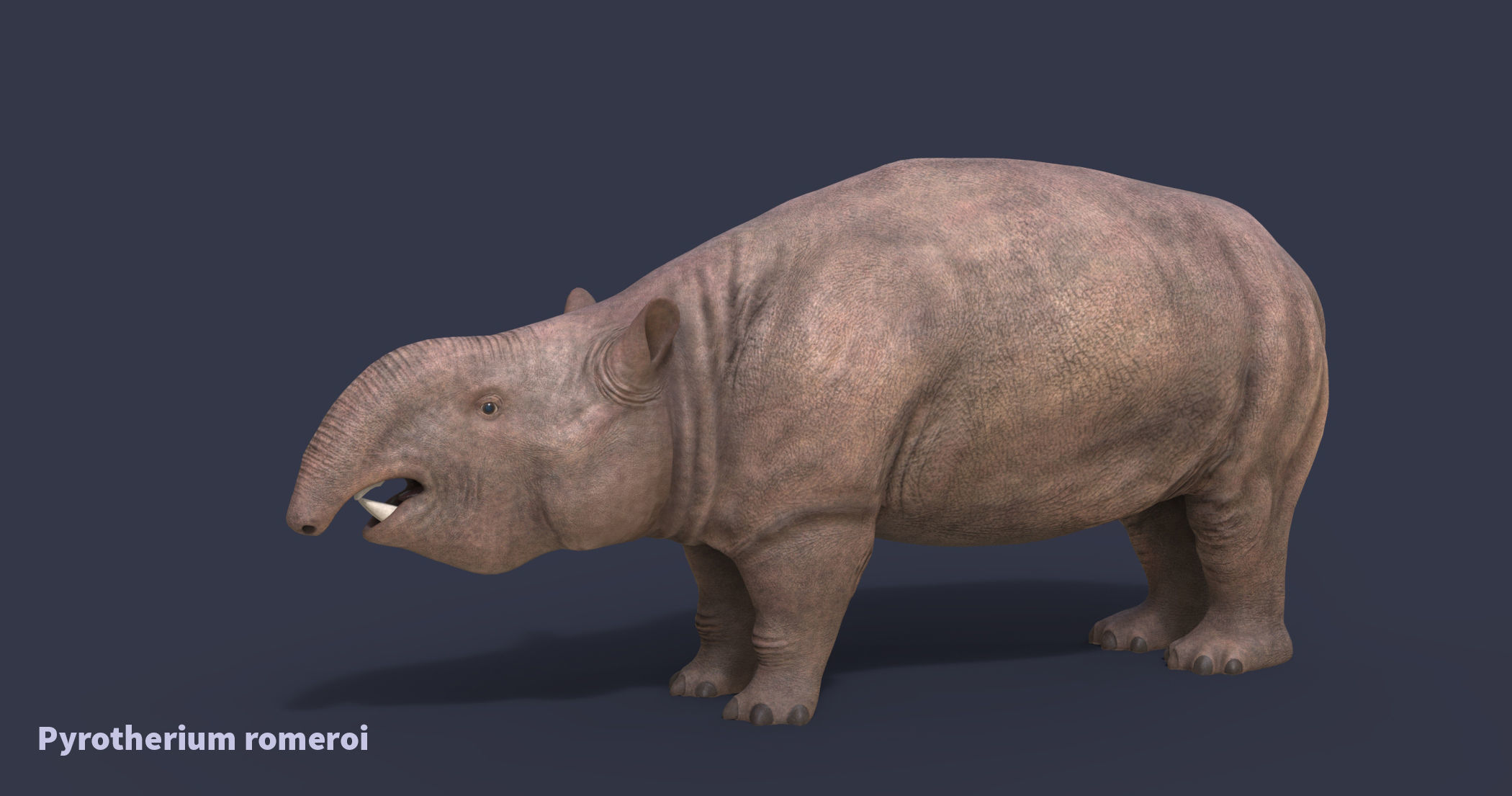 Extinct animals pack version 17 3D model_145