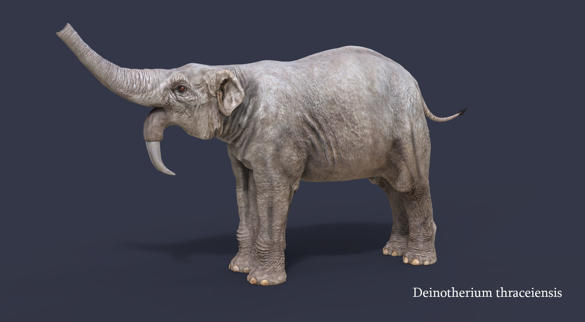 Extinct animals pack version 17 3D model_142