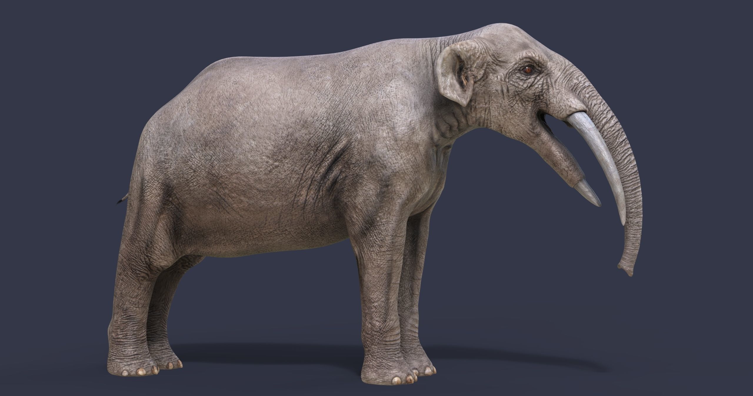 Extinct animals pack version 17 3D model_7